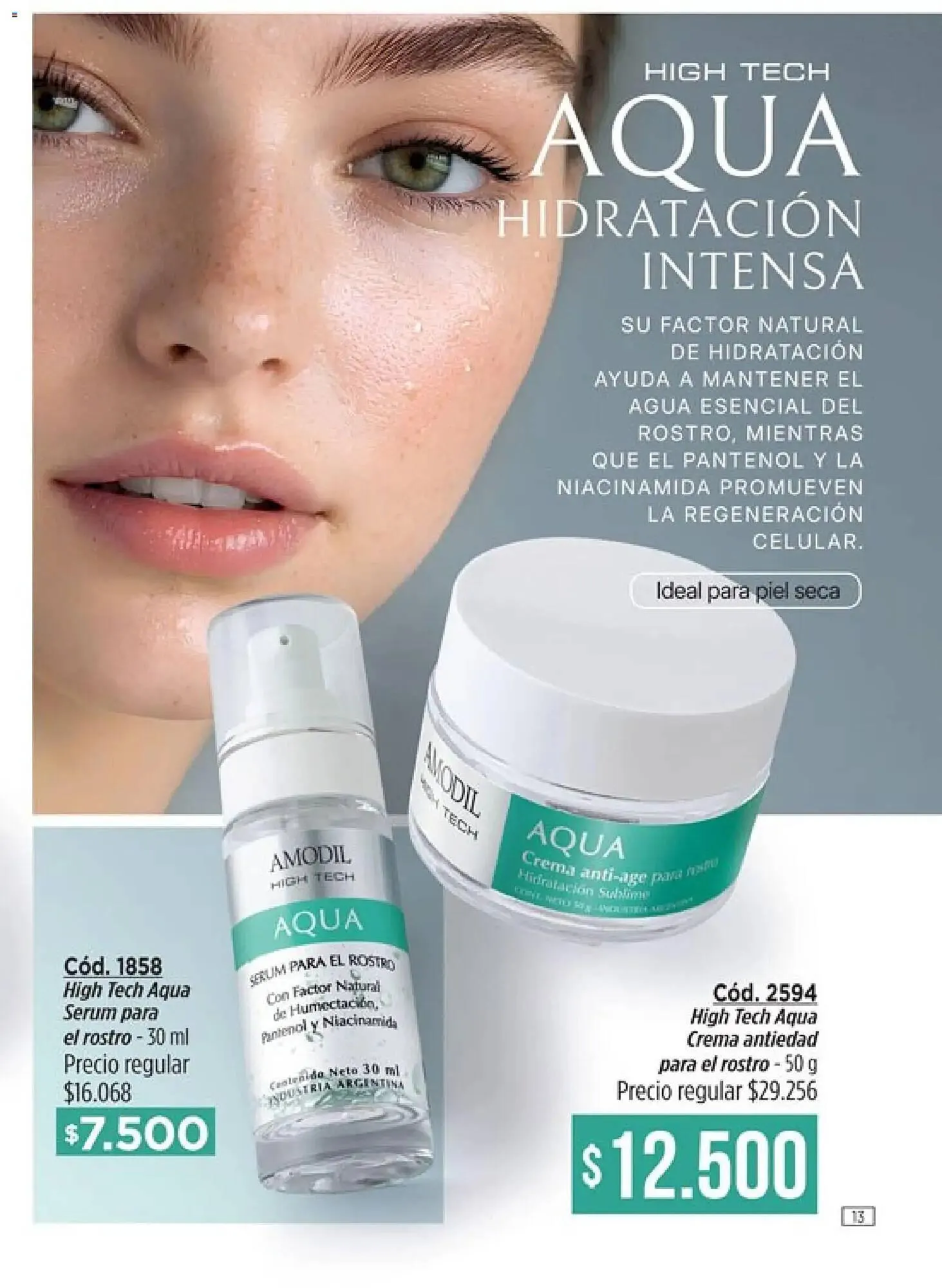 Ofertas de Catálogo Amodil 12 de febrero al 31 de marzo 2026 - Página 13 del catálogo