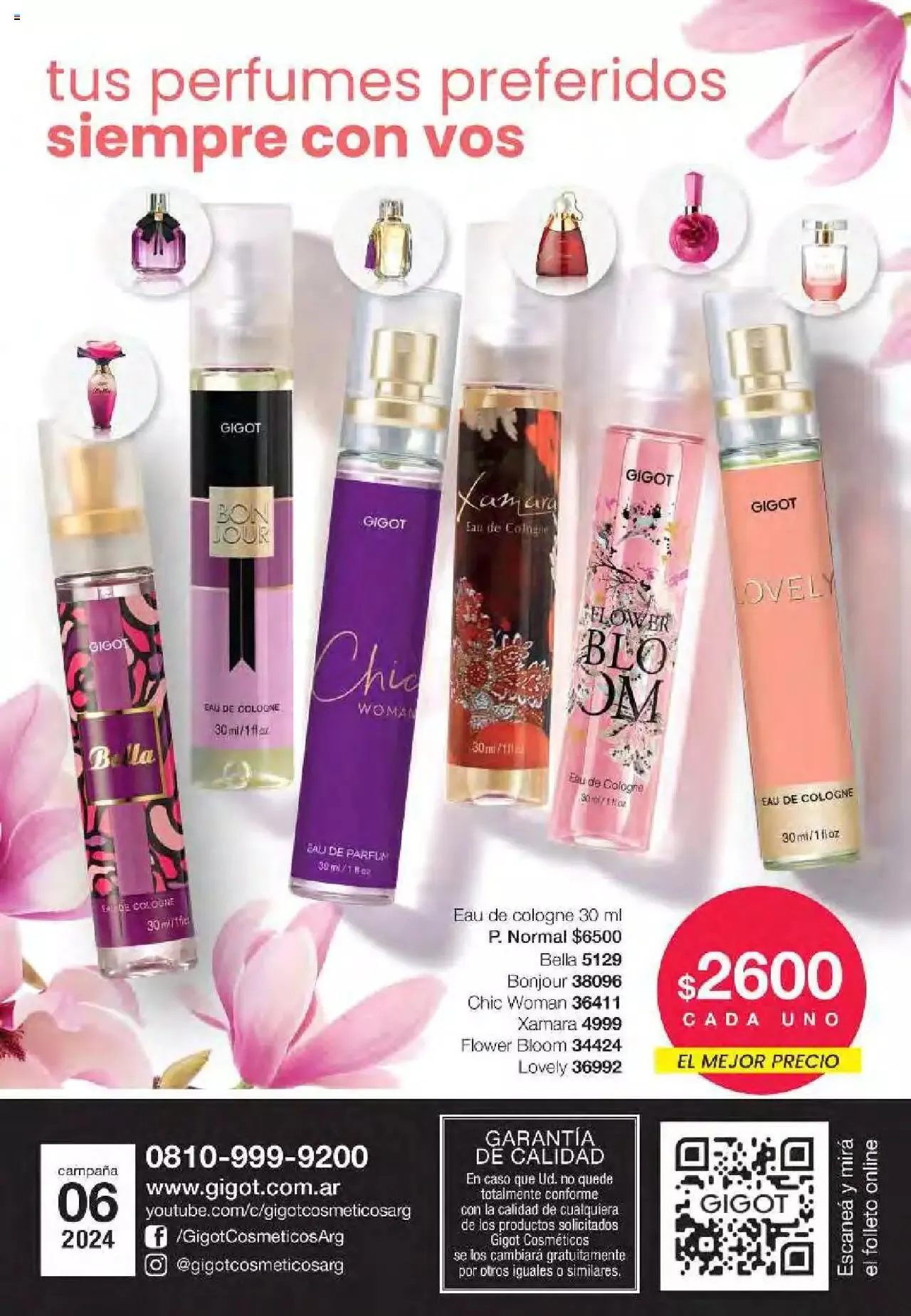 Ofertas de Gigot folleto 6 12 de marzo al 31 de diciembre 2024 - Página 164 del catálogo