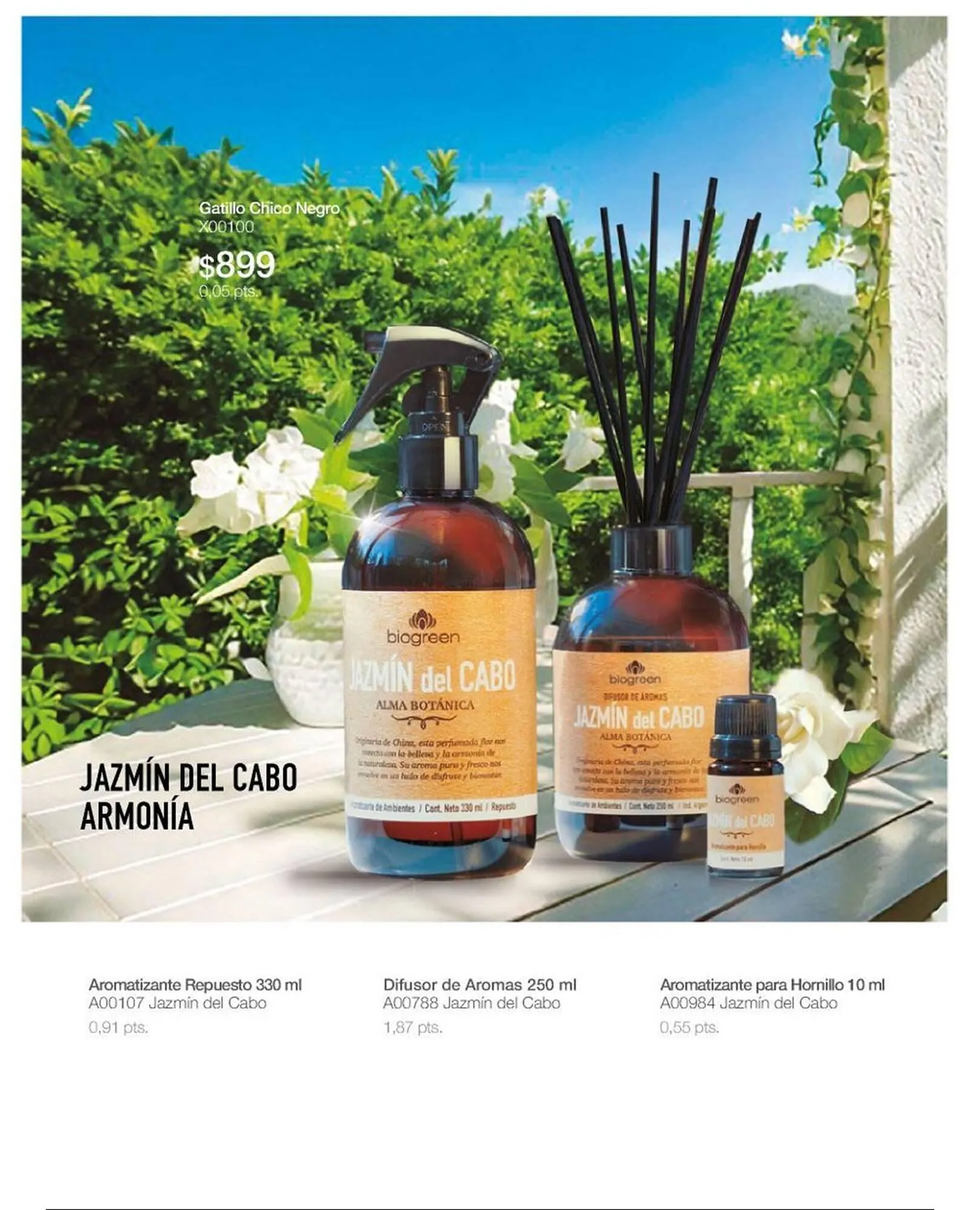 Ofertas de Catálogo Biogreen 16 de febrero al 1 de marzo 2026 - Página 38 del catálogo