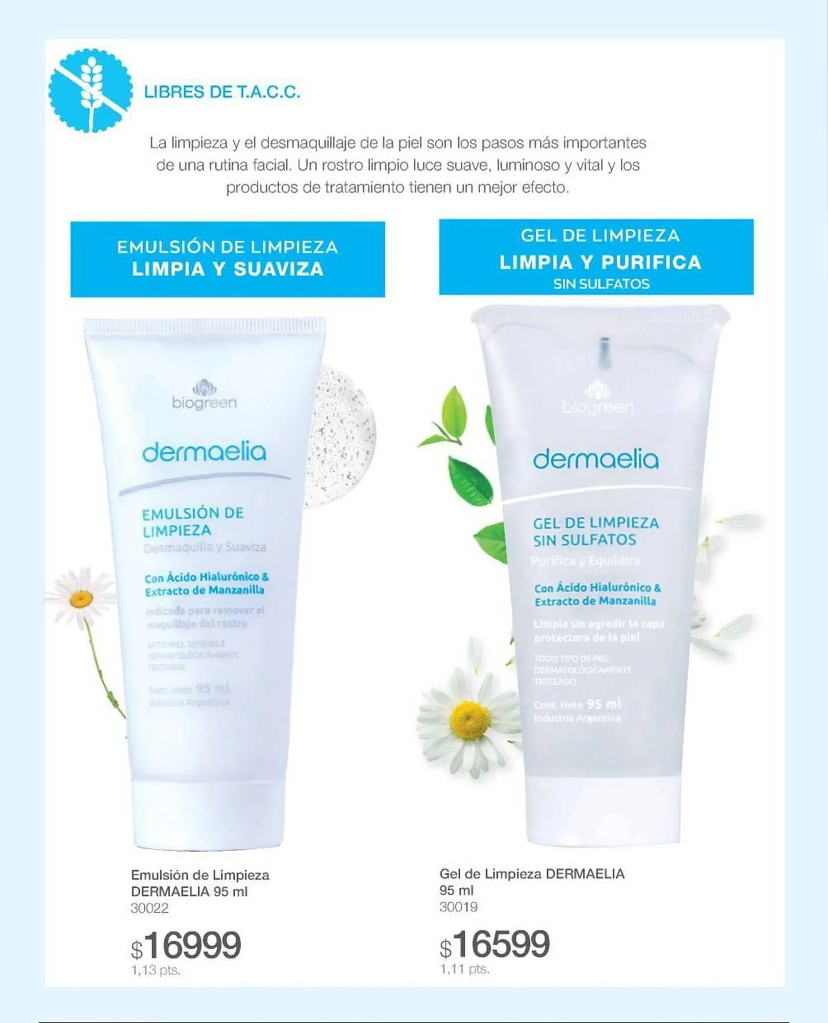 Ofertas de Catálogo Biogreen 28 de julio al 10 de agosto 2025 - Página 92 del catálogo