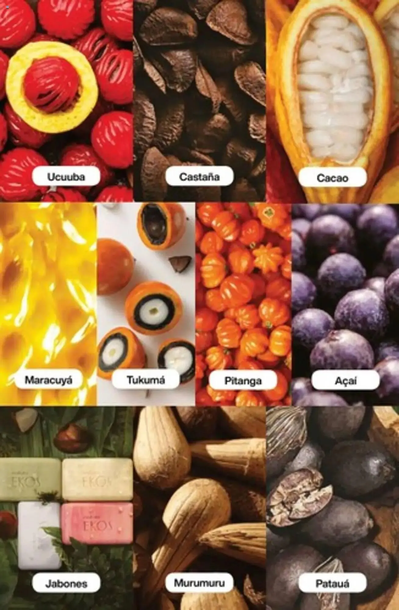 Ofertas de Catálogo Natura 3 de julio al 31 de julio 2025 - Página 185 del catálogo