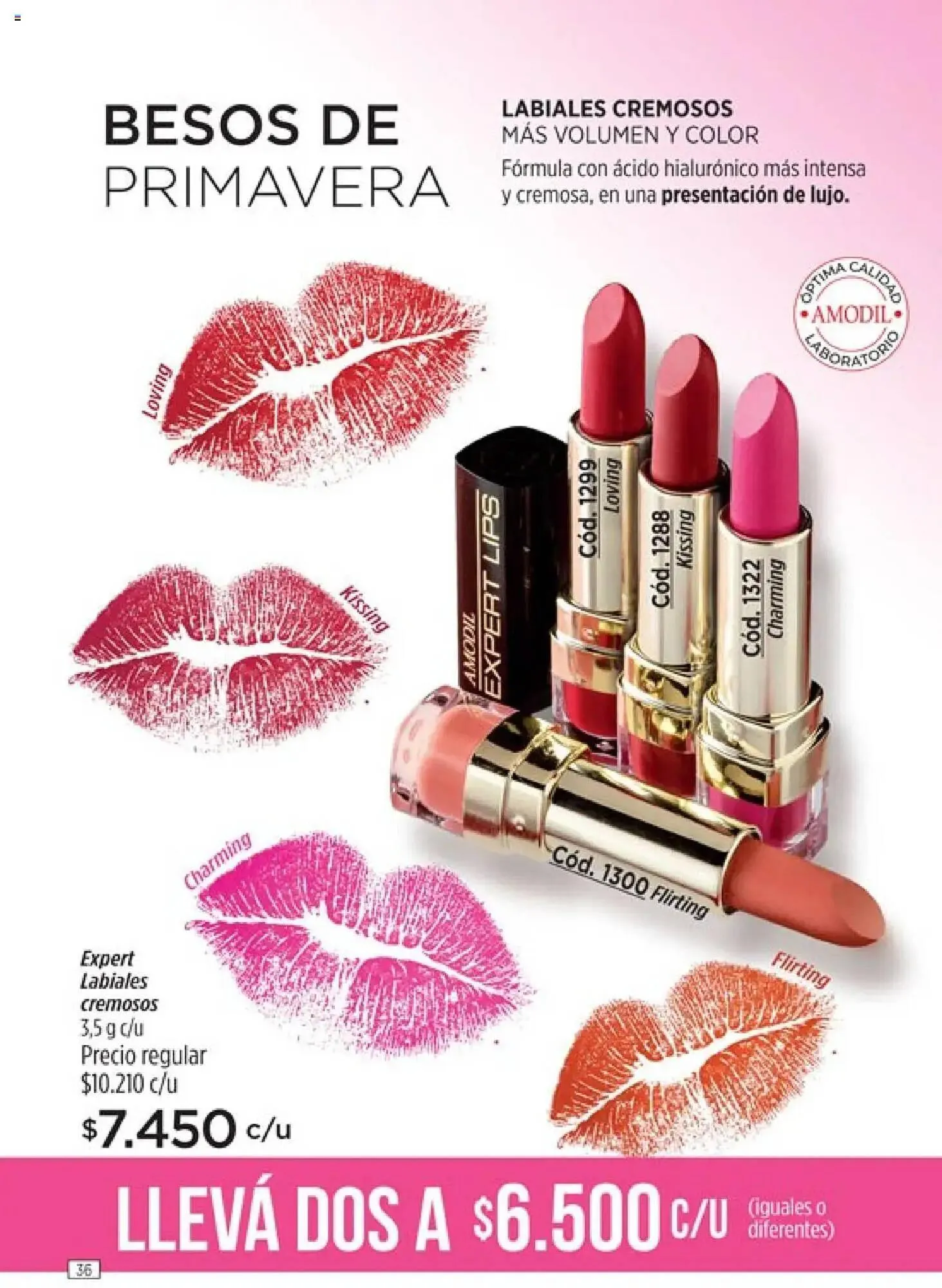 Ofertas de Catálogo Amodil 18 de julio al 31 de julio 2025 - Página 36 del catálogo