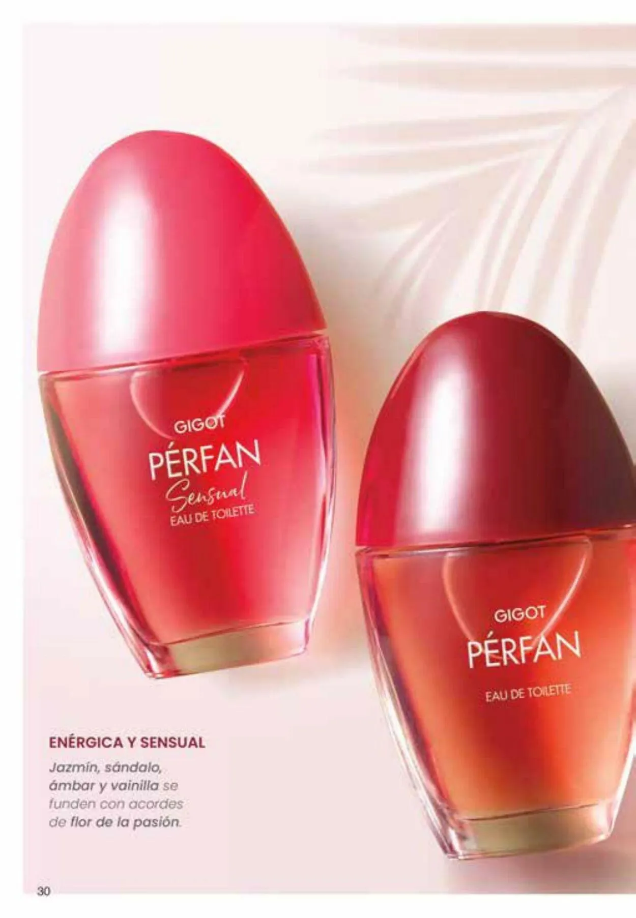 Ofertas de Gigot 30 de noviembre al 1 de enero 2024 - Página 30 del catálogo