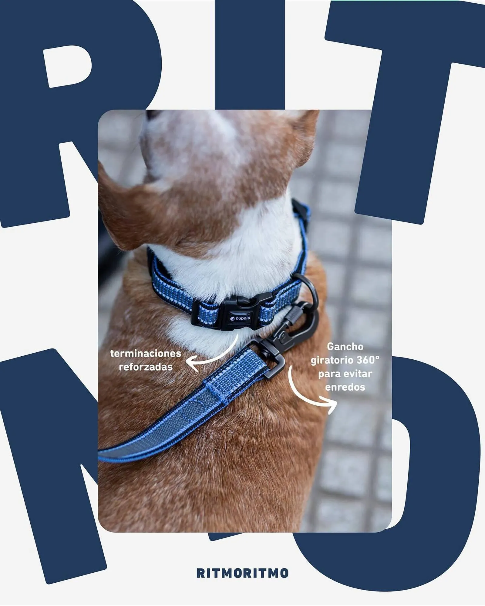 Ofertas de Catálogo Puppis 3 de diciembre al 9 de diciembre 2025 - Página 5 del catálogo