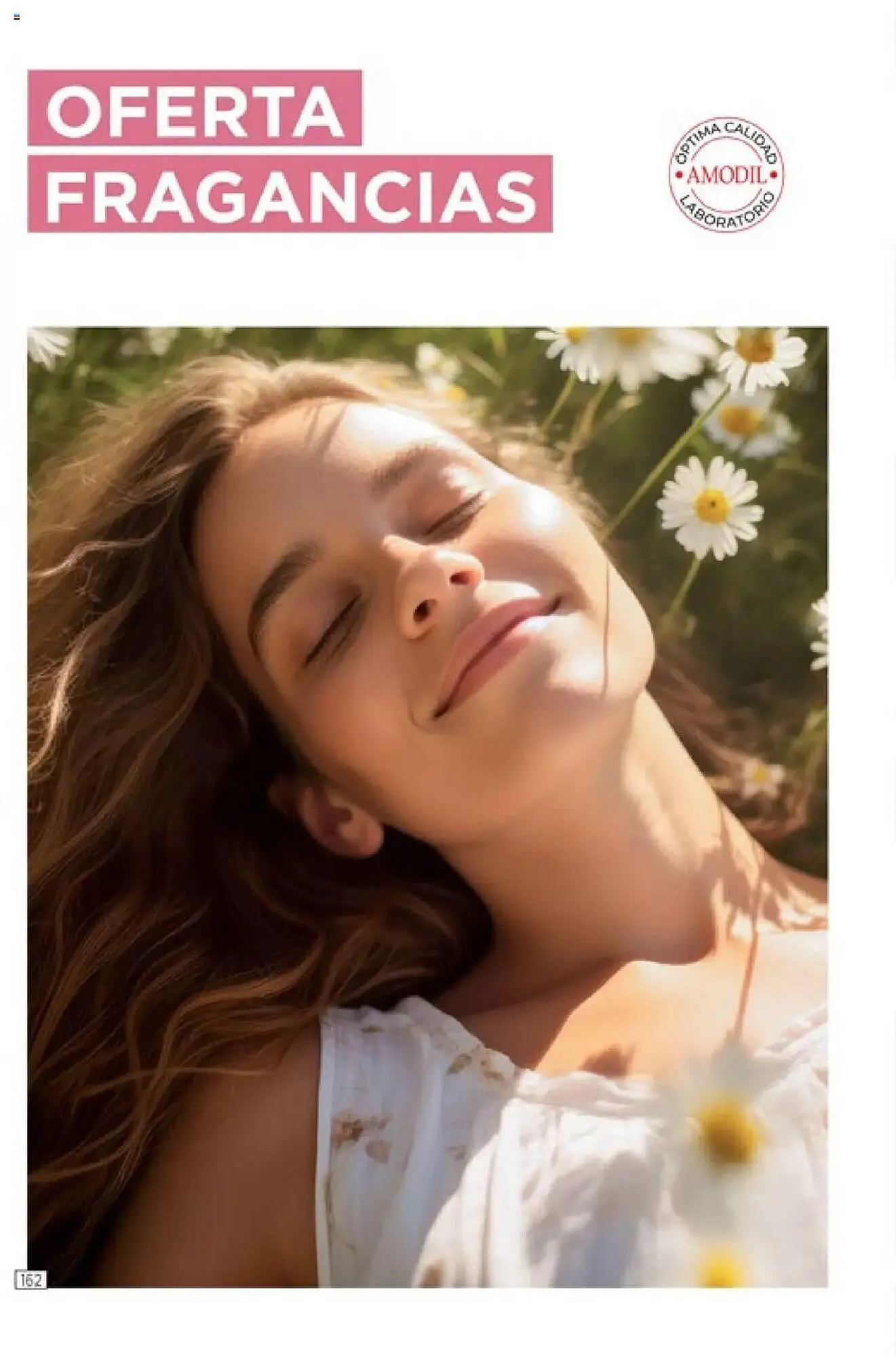 Ofertas de Catálogo Amodil 13 de junio al 27 de junio 2025 - Página 171 del catálogo