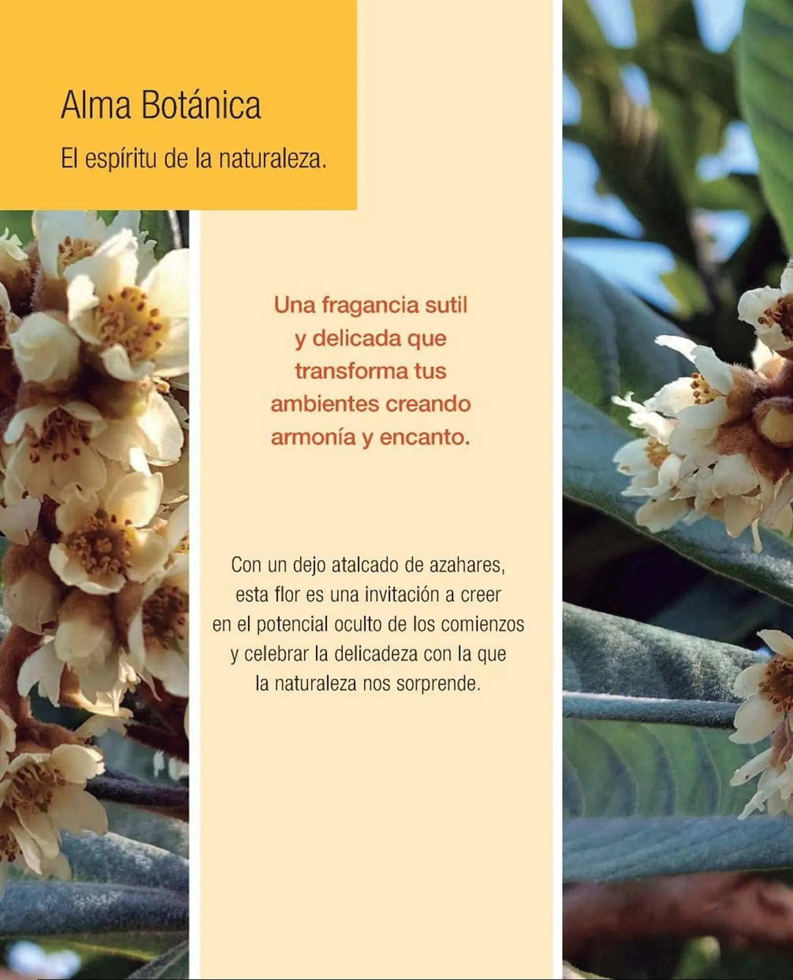 Ofertas de Catálogo Biogreen 15 de mayo al 31 de mayo 2025 - Página 4 del catálogo