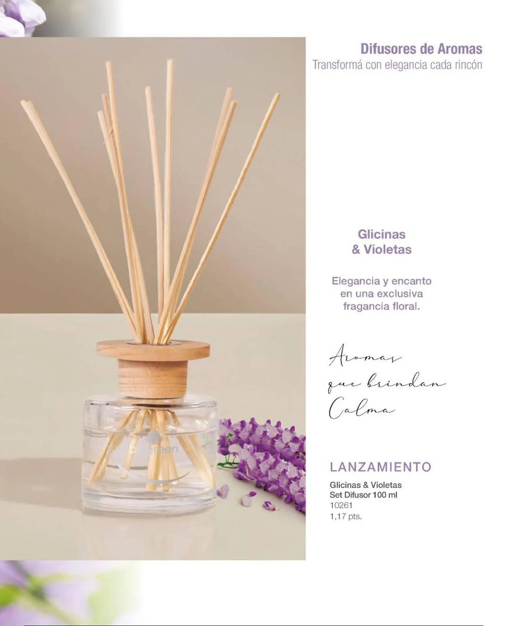 Ofertas de Catálogo Biogreen 16 de febrero al 1 de marzo 2026 - Página 15 del catálogo