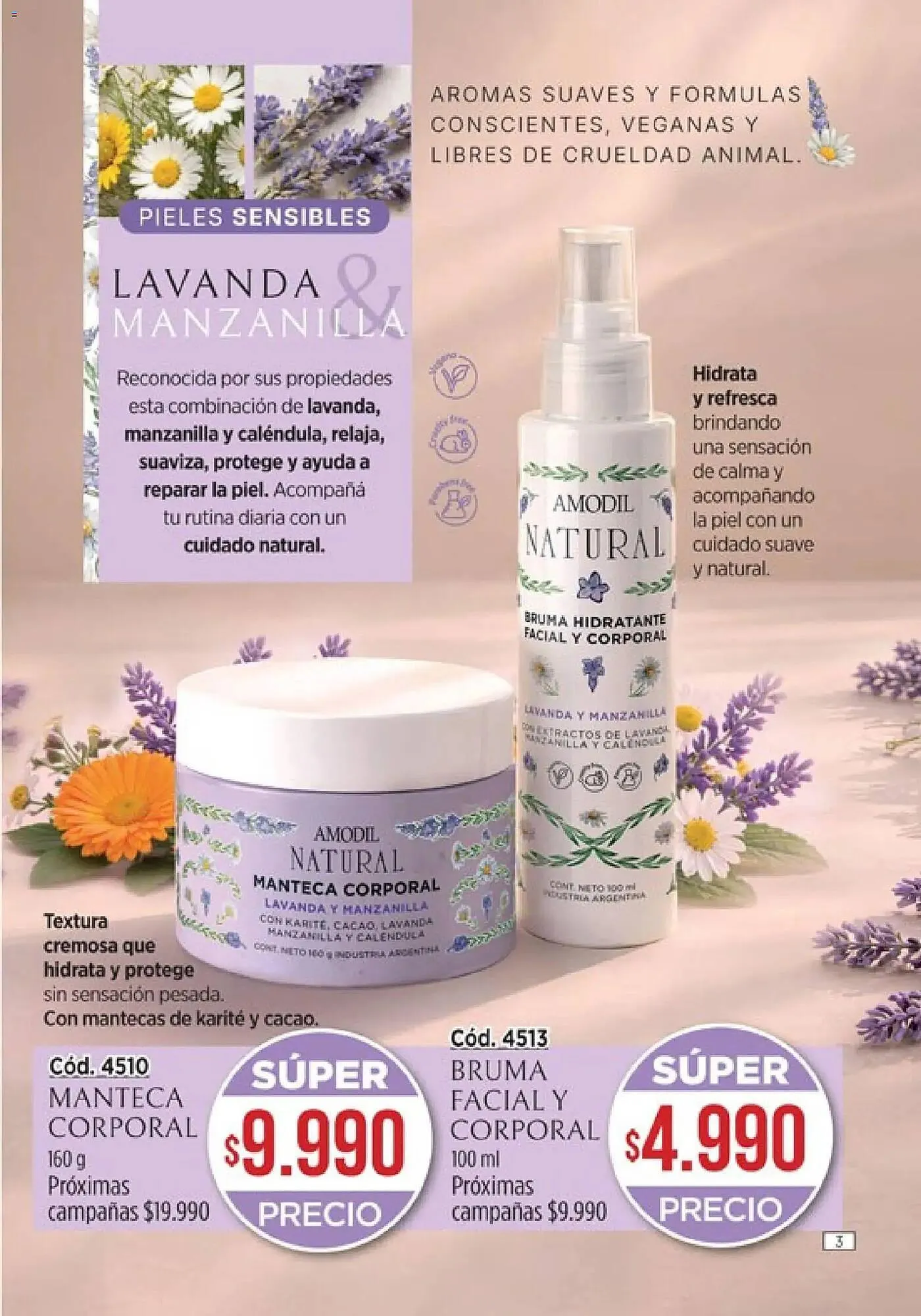 Ofertas de Catálogo Amodil 12 de febrero al 31 de marzo 2026 - Página 3 del catálogo