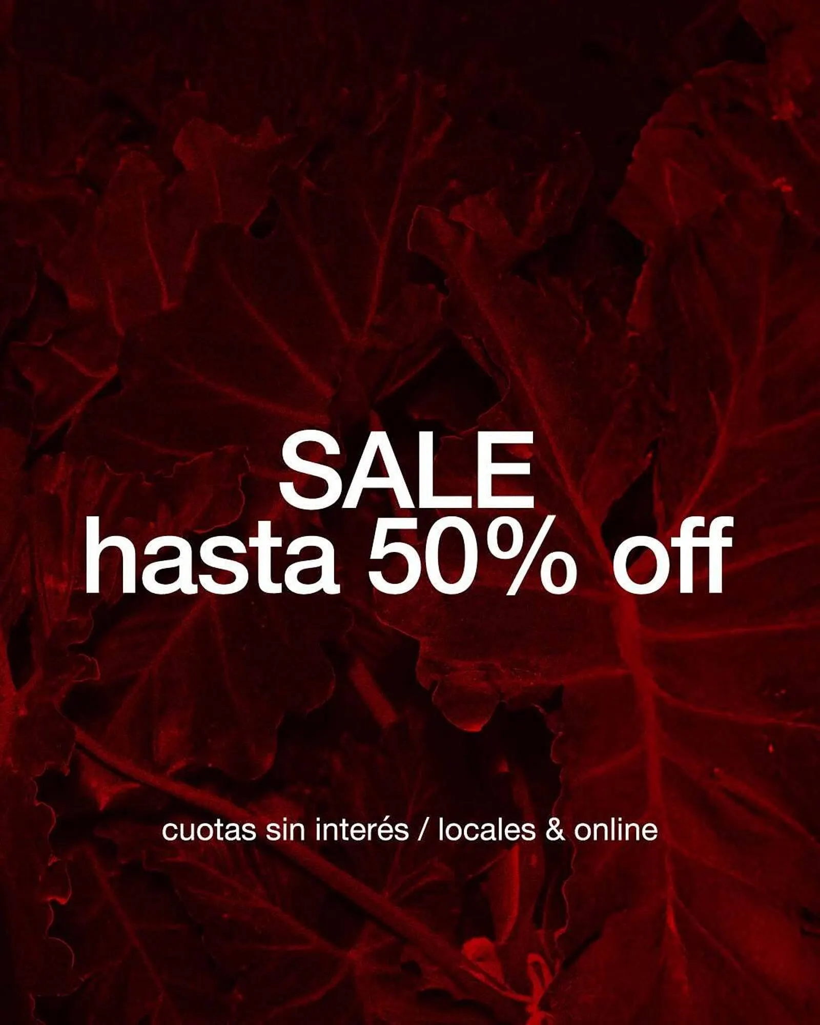 Ofertas de Catálogo Markova 1 de julio al 31 de julio 2025 - Página 5 del catálogo