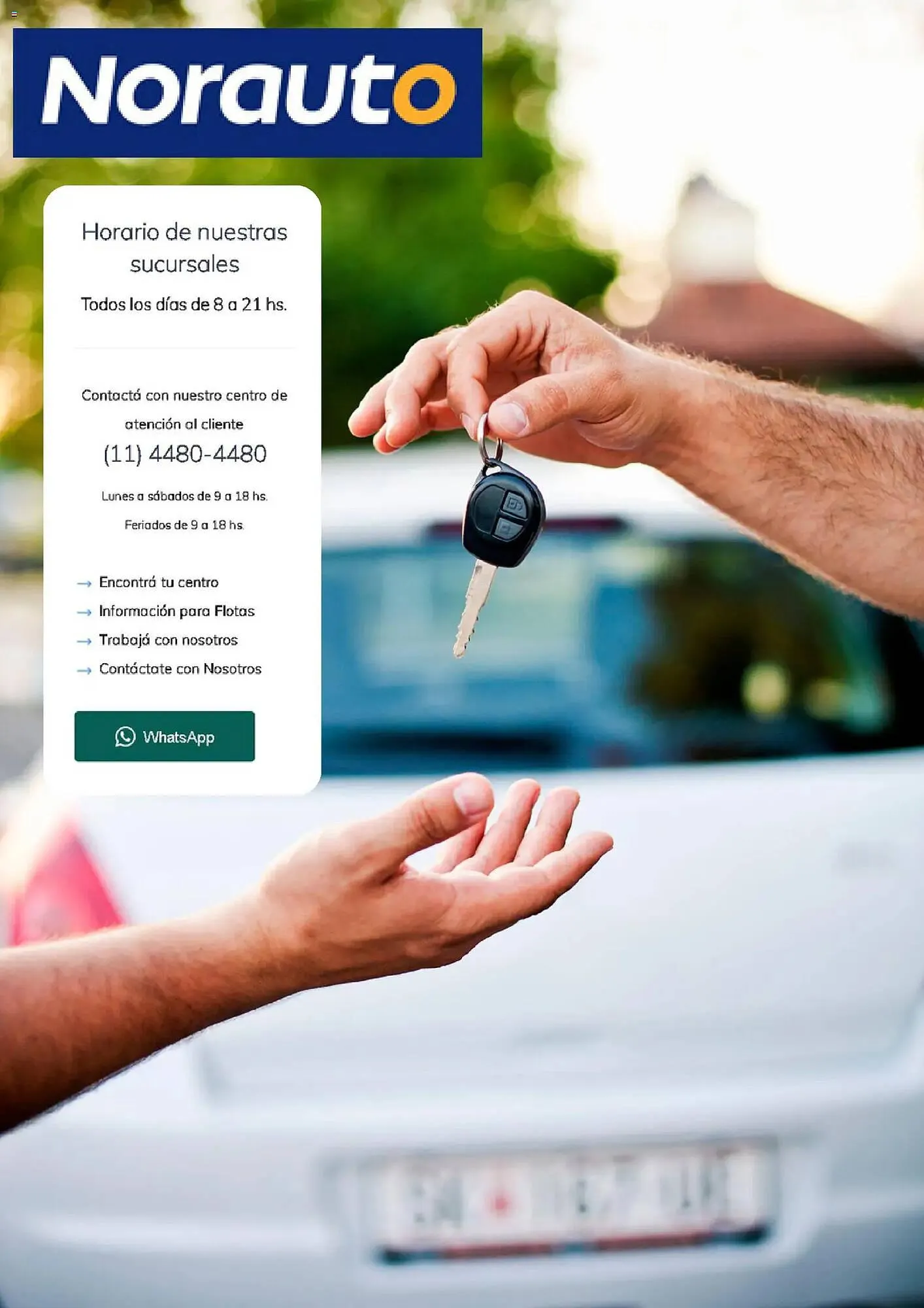 Ofertas de Catálogo Norauto 20 de febrero al 23 de marzo 2026 - Página 8 del catálogo