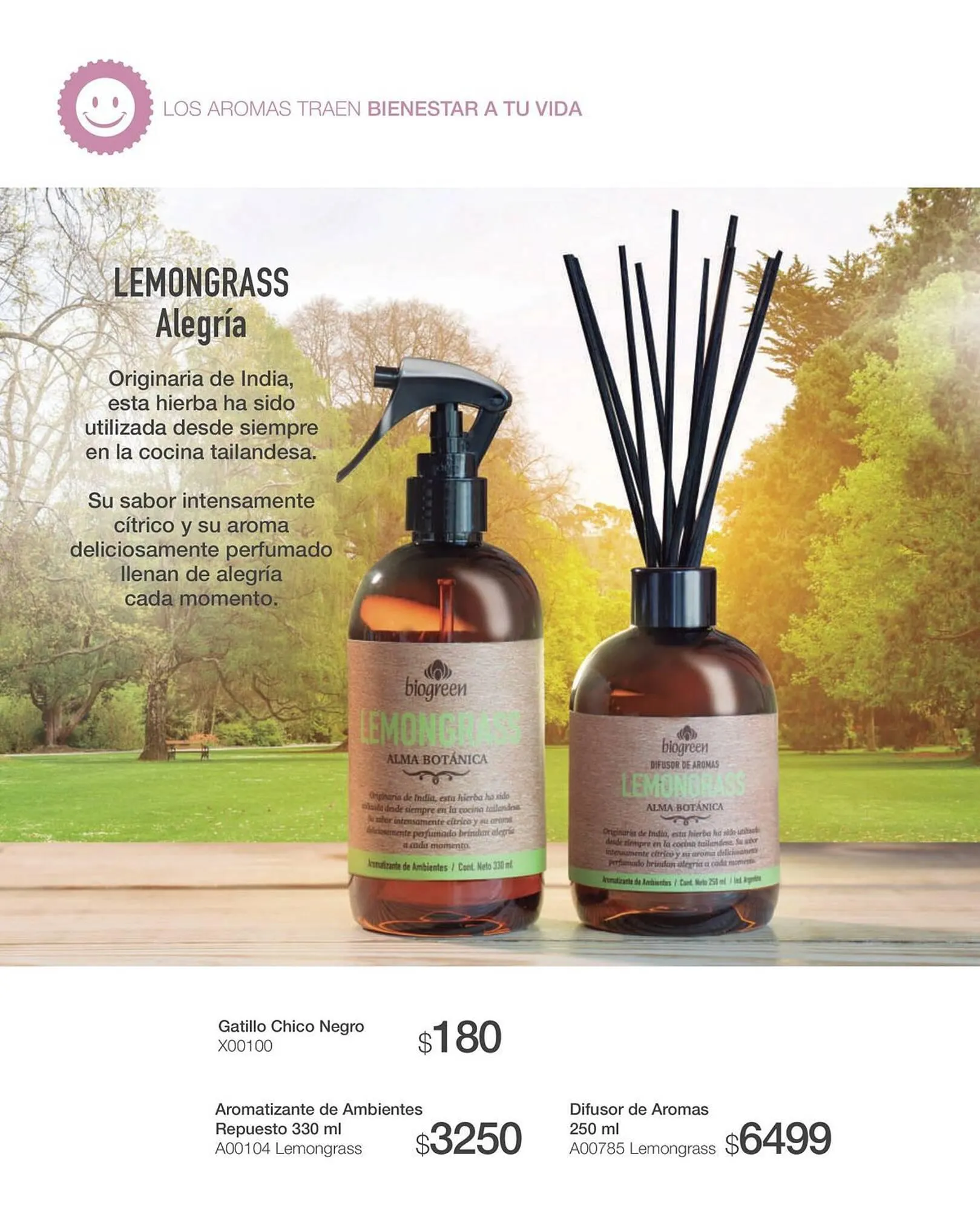 Ofertas de Catálogo Biogreen 20 de octubre al 30 de noviembre 2023 - Página 32 del catálogo