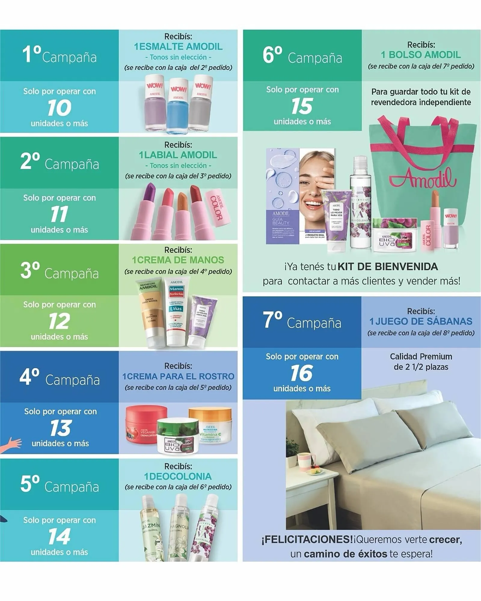 Ofertas de Catálogo Amodil 7 de mayo al 13 de mayo 2025 - Página 2 del catálogo