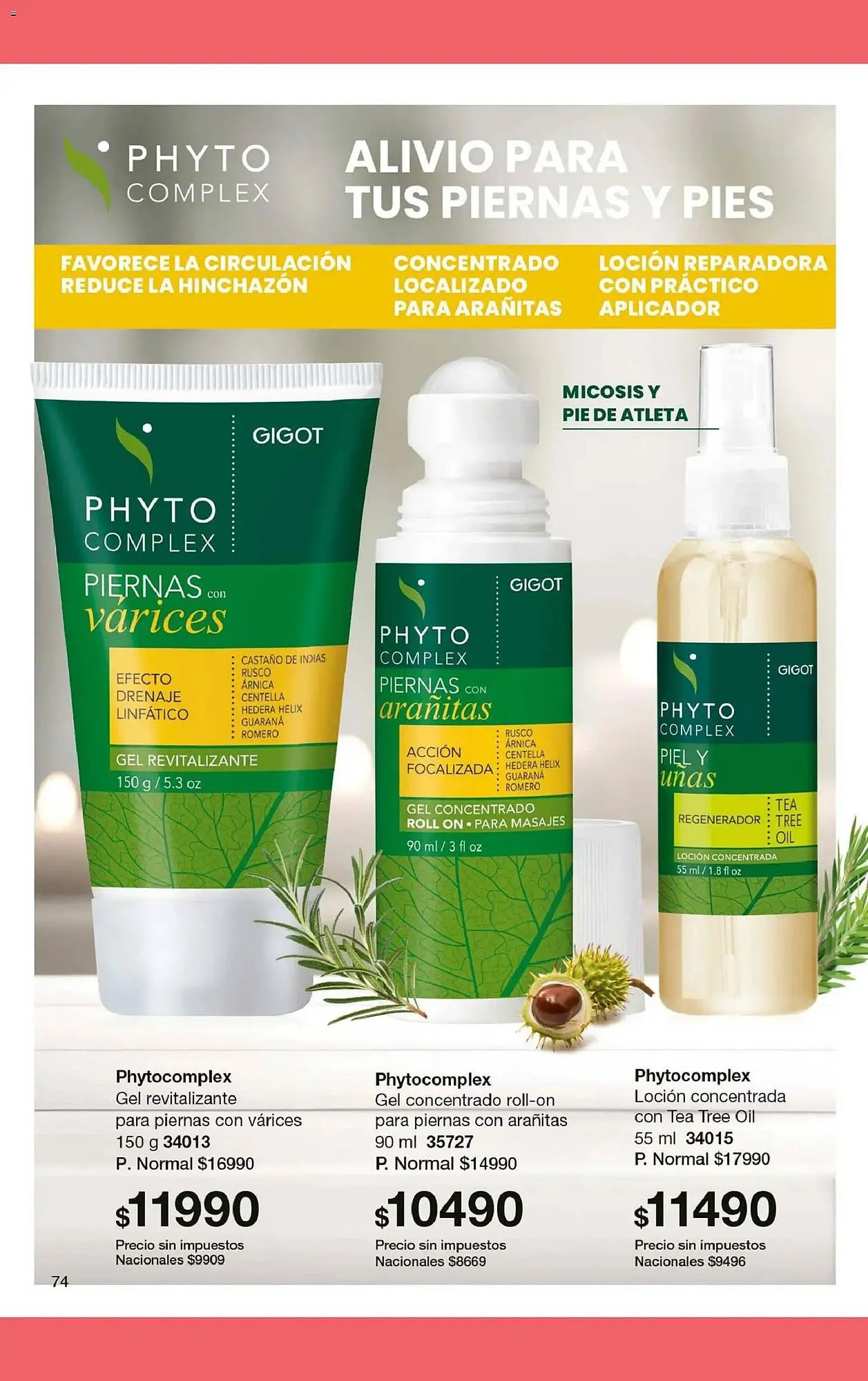 Ofertas de Folleto Gigot 1 de abril al 1 de mayo 2026 - Página 34 del catálogo