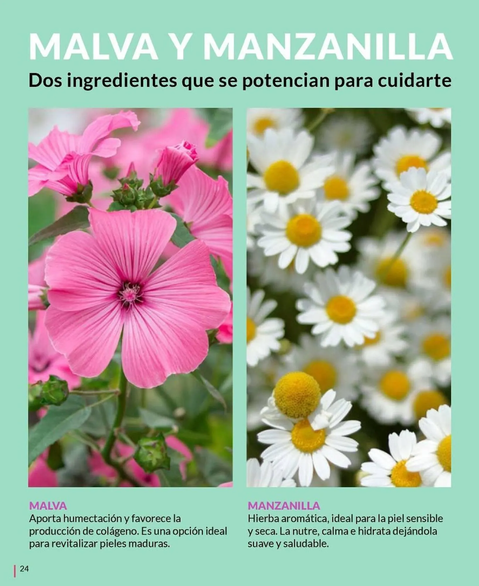 Ofertas de Catálogo Bagués 5 de abril al 30 de abril 2025 - Página 24 del catálogo