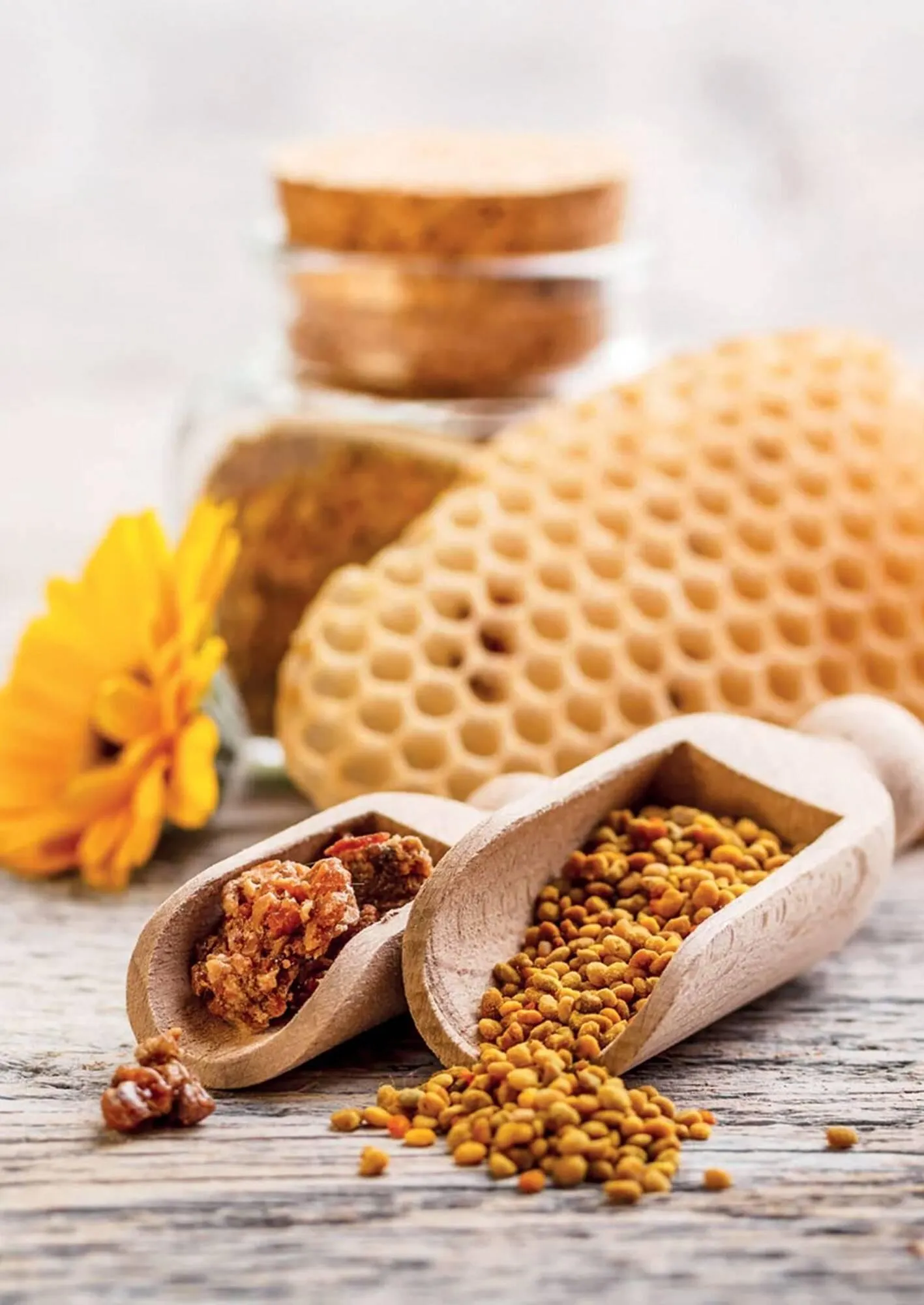 Ofertas de Catálogo Reino Cosmética 8 de mayo al 31 de mayo 2025 - Página 230 del catálogo