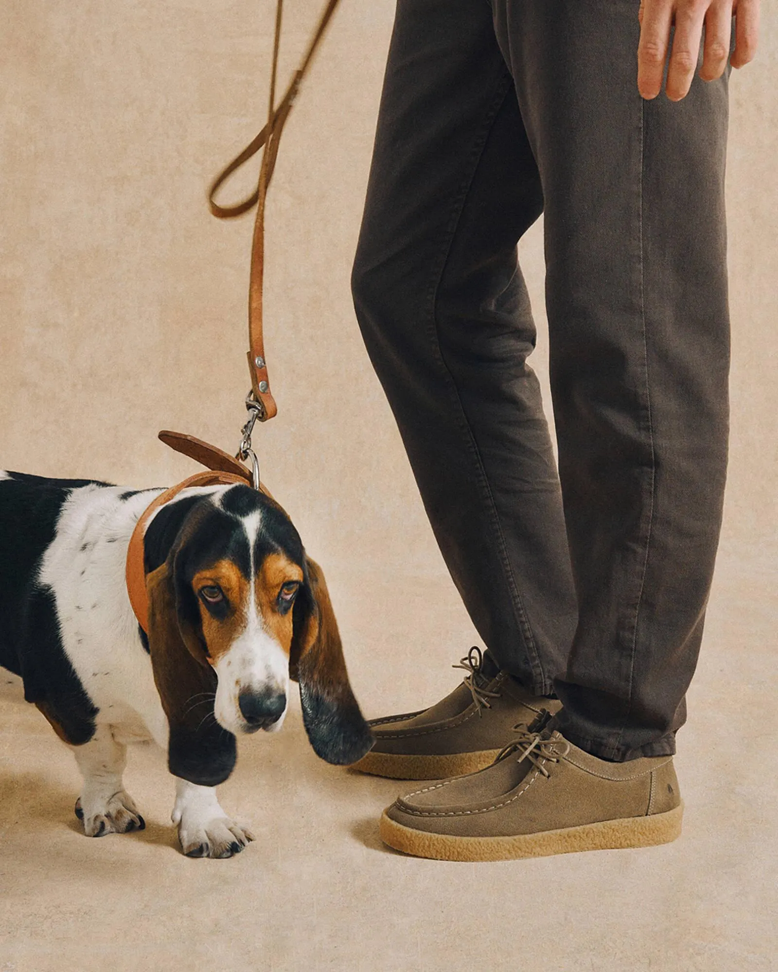 Ofertas de Catálogo Hush Puppies 6 de mayo al 19 de mayo 2026 - Página 3 del catálogo