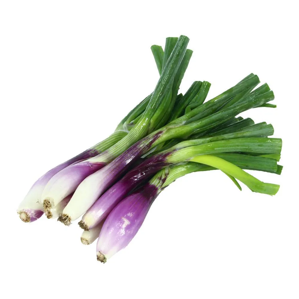 Cebolla De Verdeo X Uni