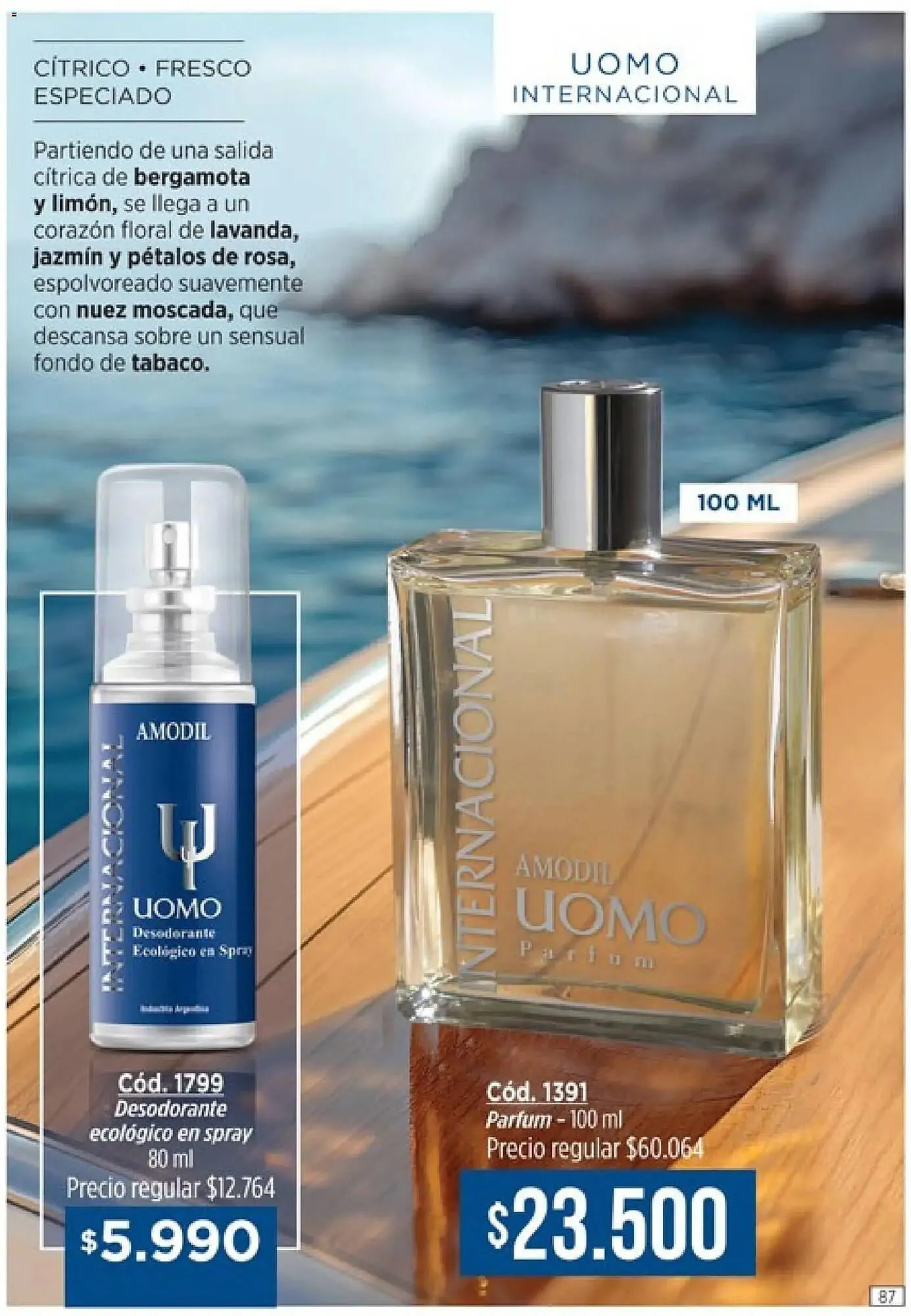 Ofertas de Catálogo Amodil 1 de enero al 1 de febrero 2026 - Página 87 del catálogo