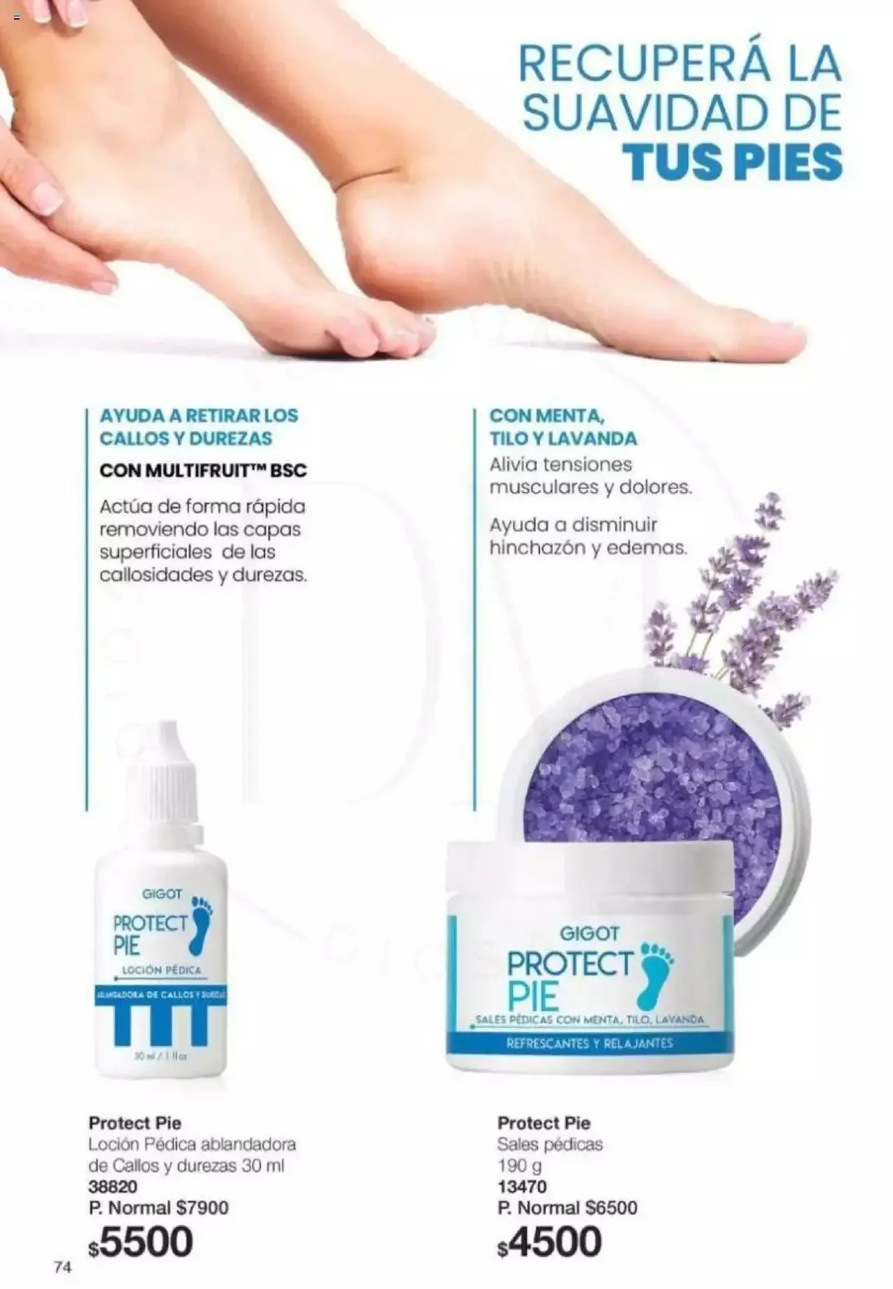 Ofertas de Gigot catálogo 2 de abril al 31 de diciembre 2024 - Página 74 del catálogo