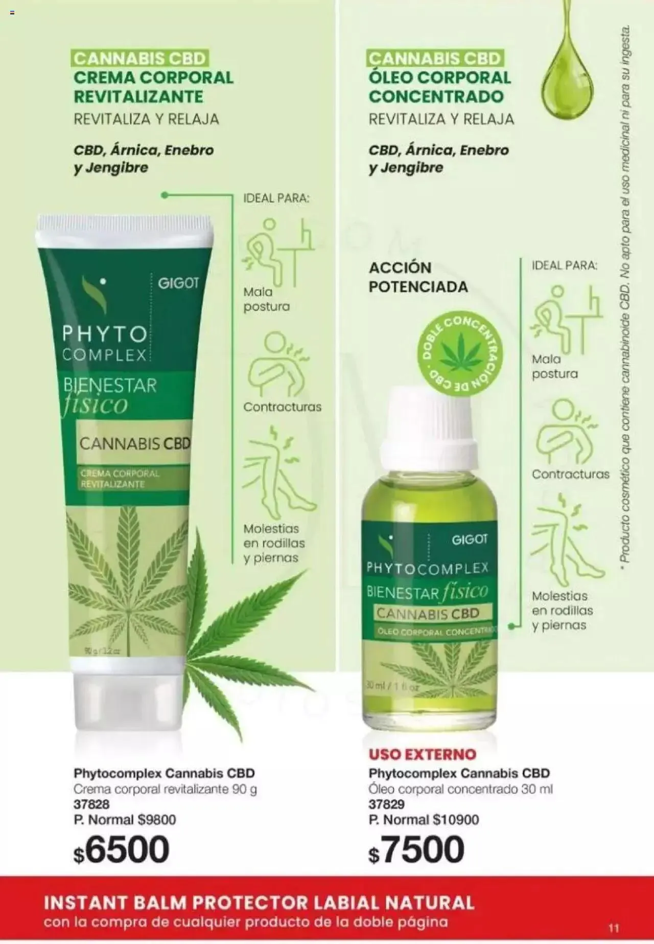 Ofertas de Gigot catálogo 2 de abril al 31 de diciembre 2024 - Página 11 del catálogo