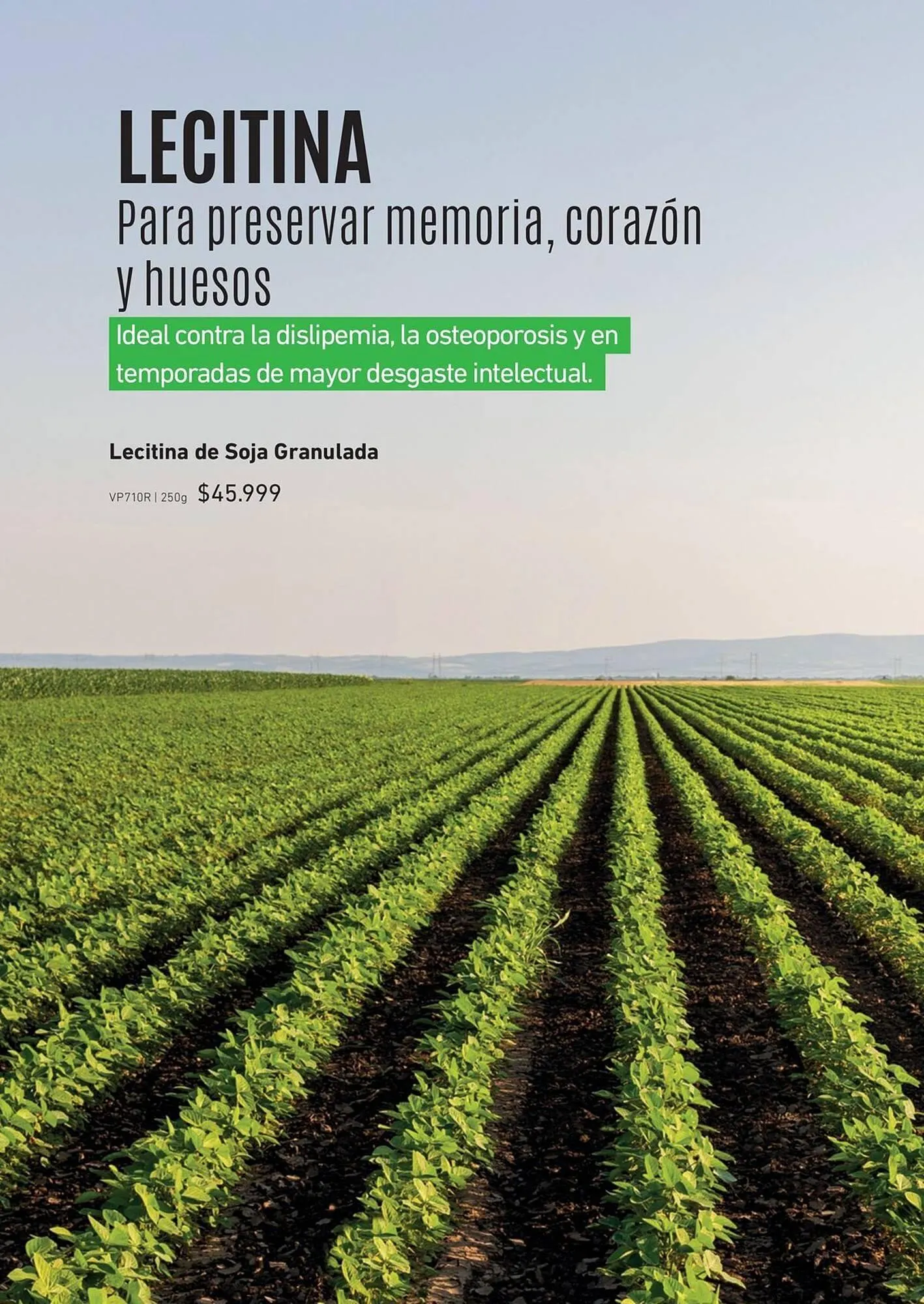 Ofertas de Catálogo Reino Cosmética 8 de mayo al 31 de mayo 2025 - Página 206 del catálogo