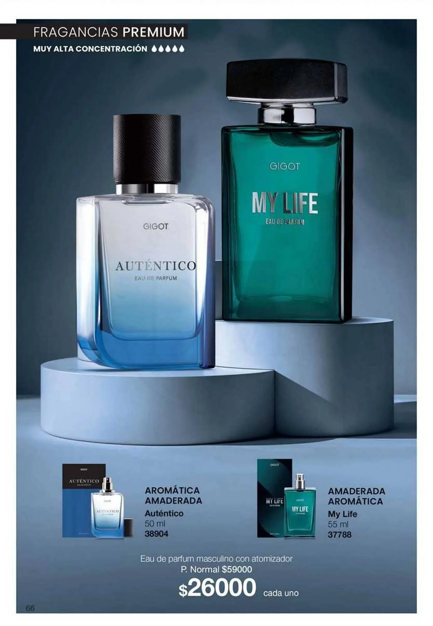 Ofertas de Catálogo Gigot 1 de noviembre al 30 de noviembre 2025 - Página 76 del catálogo