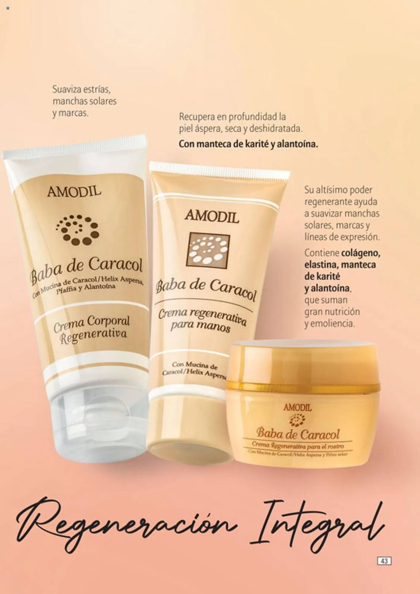 Ofertas de Catálogo Amodil 6 de diciembre al 19 de diciembre 2023 - Página 43 del catálogo