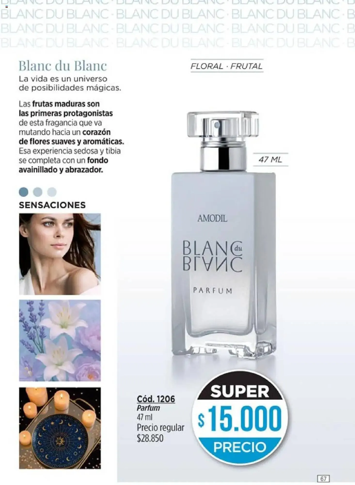 Ofertas de Catálogo Amodil 13 de junio al 27 de junio 2025 - Página 69 del catálogo