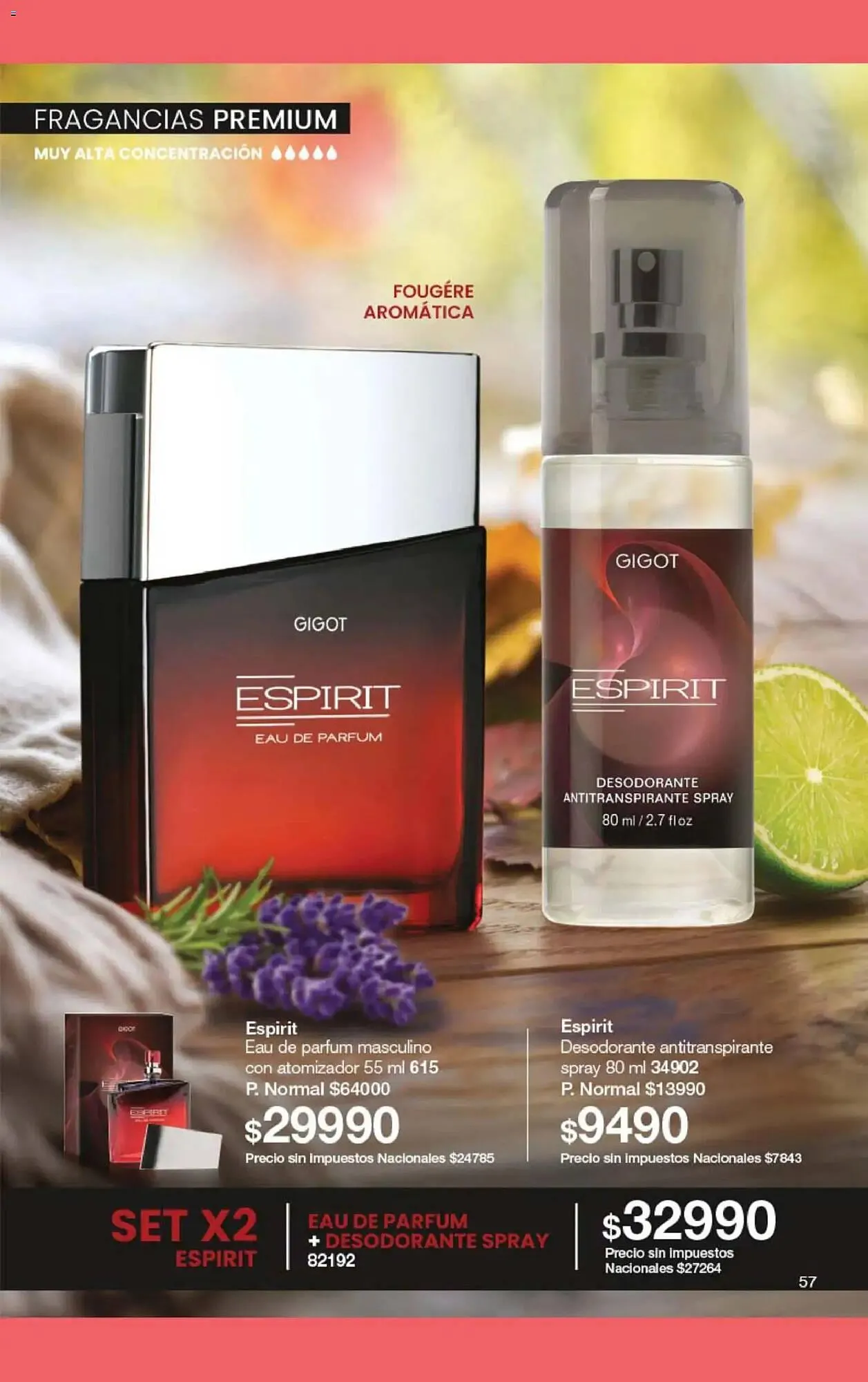 Ofertas de Folleto Gigot 15 de marzo al 31 de marzo 2026 - Página 73 del catálogo