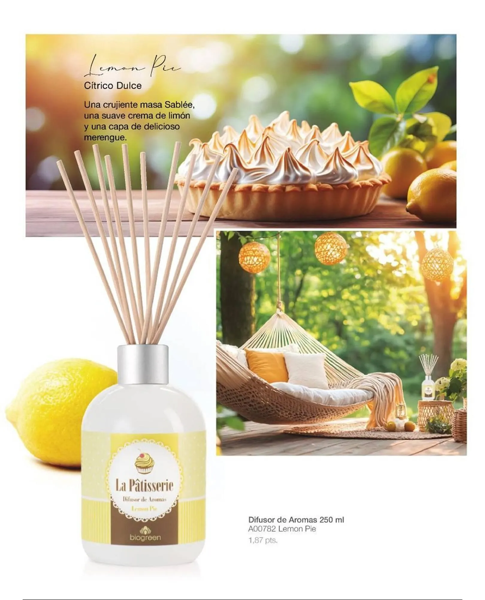 Ofertas de Catálogo Biogreen 16 de febrero al 1 de marzo 2026 - Página 53 del catálogo