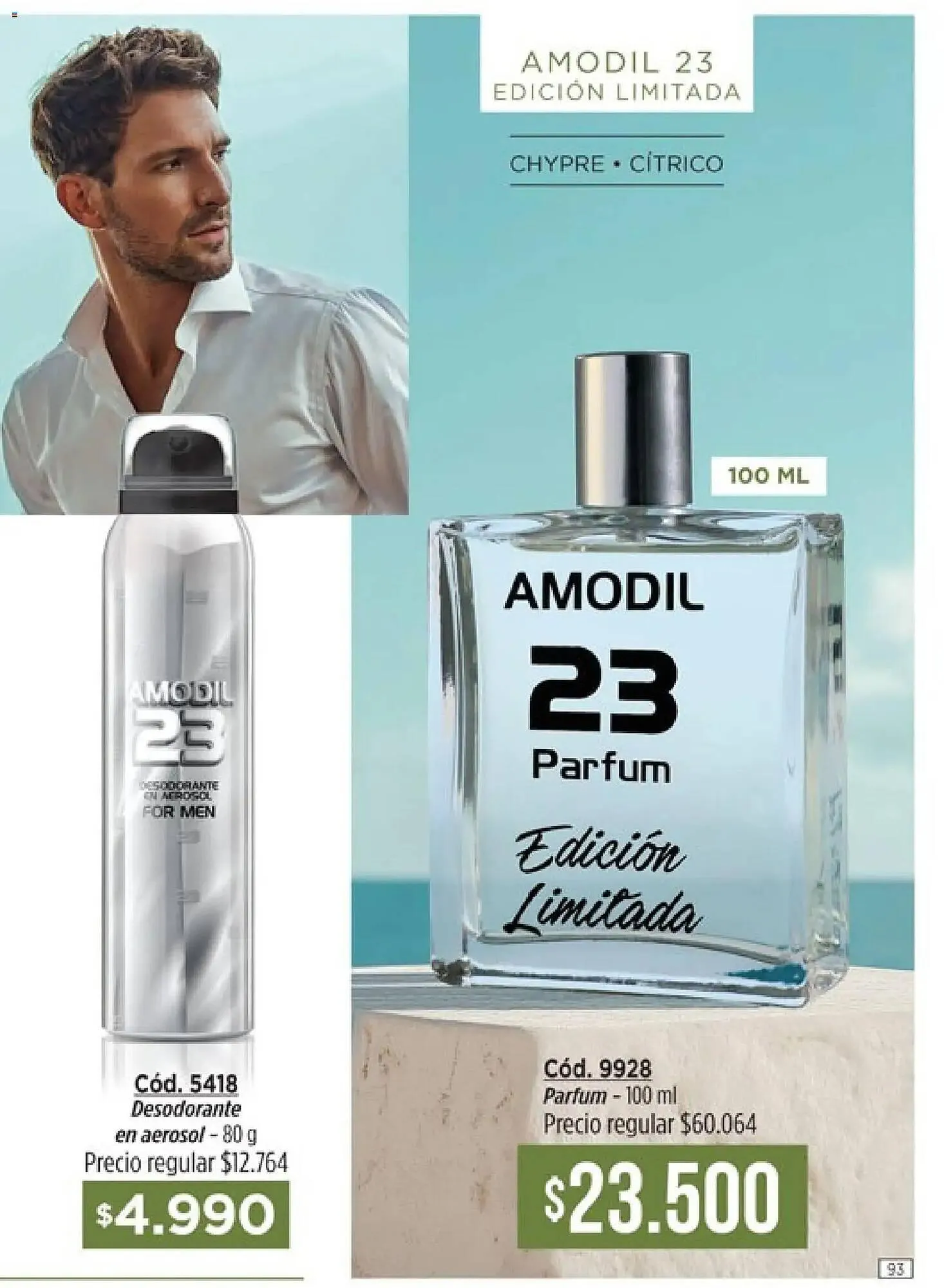 Ofertas de Catálogo Amodil 1 de enero al 1 de febrero 2026 - Página 93 del catálogo