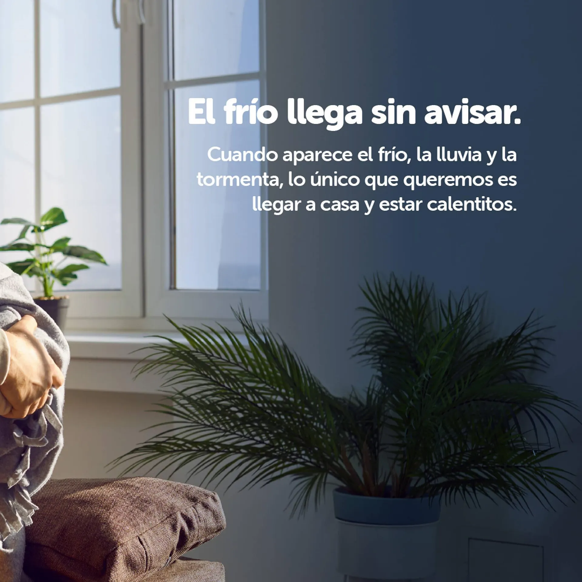 Ofertas de Revista Punto Blu 6 de mayo al 10 de mayo 2026 - Página 2 del catálogo