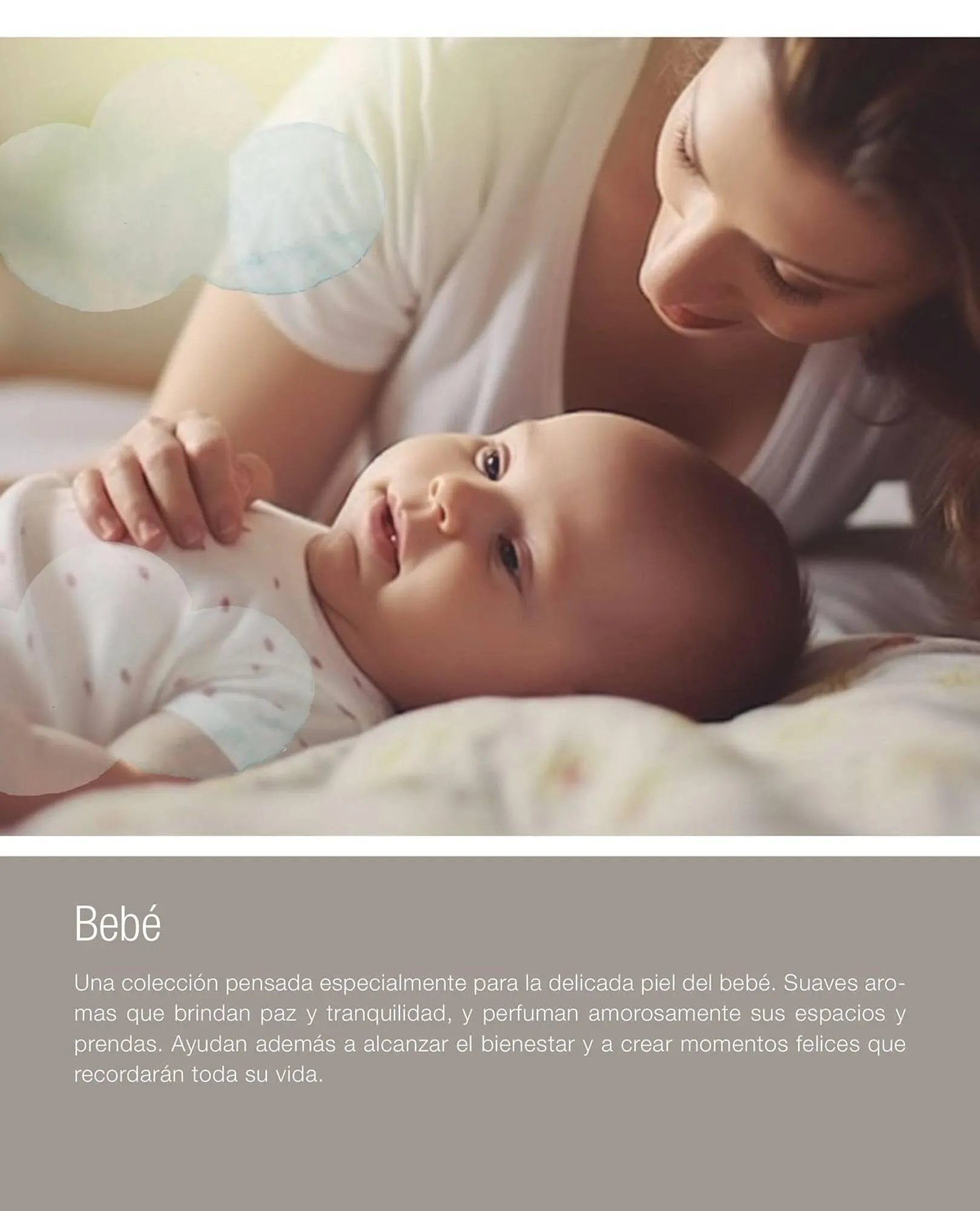 Ofertas de Catálogo Biogreen 20 de octubre al 30 de noviembre 2023 - Página 92 del catálogo