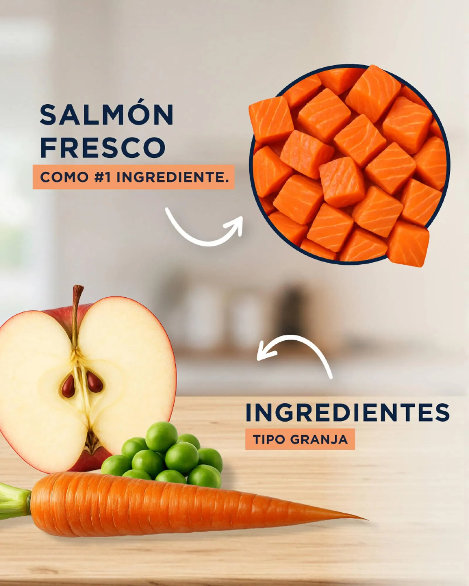 Ofertas de Catálogo Puppis 16 de julio al 22 de julio 2025 - Página 2 del catálogo