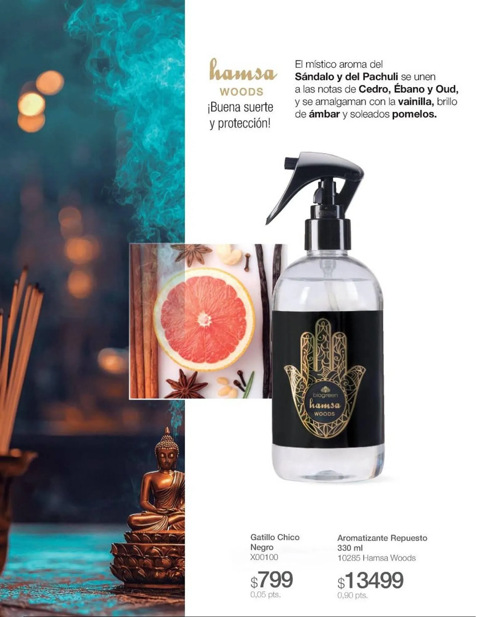 Ofertas de Catálogo Biogreen 28 de julio al 10 de agosto 2025 - Página 6 del catálogo