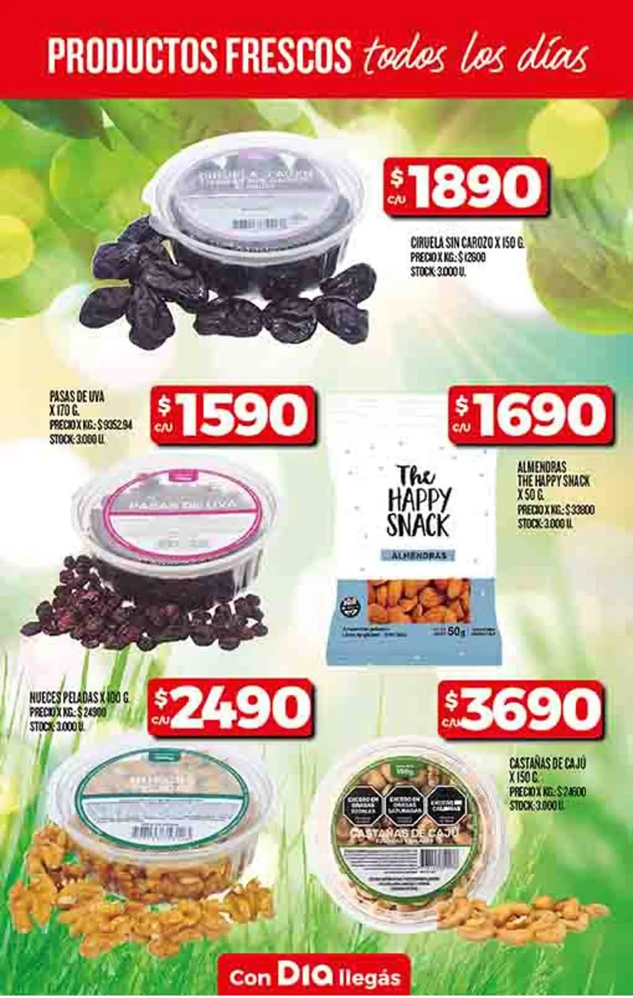 Ofertas de Catálogo Supermercados DIA 21 de noviembre al 5 de diciembre 2024 - Página 33 del catálogo