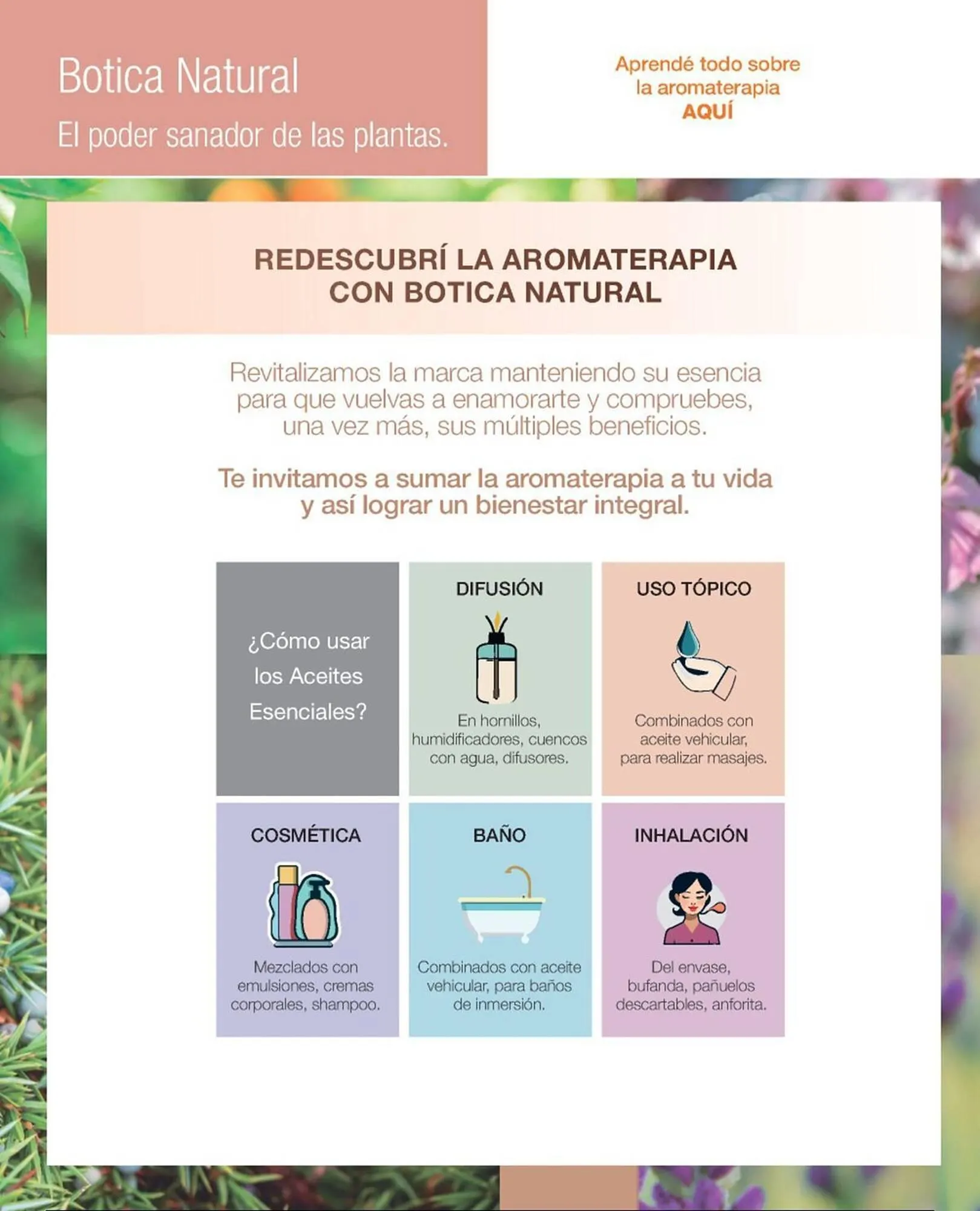 Ofertas de Catálogo Biogreen 10 de marzo al 16 de marzo 2025 - Página 64 del catálogo