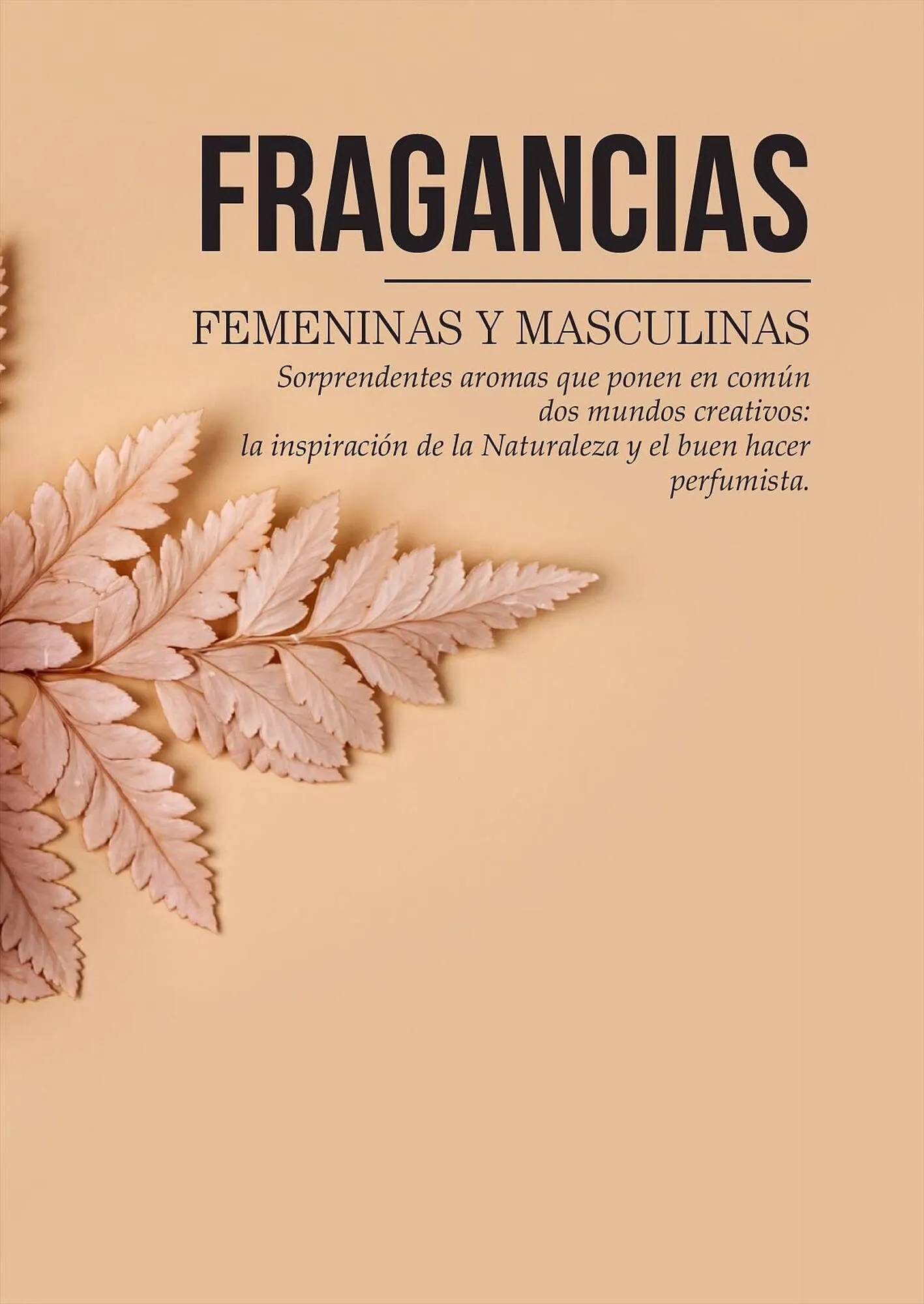 Ofertas de Catálogo Reino Cosmética 28 de julio al 31 de julio 2023 - Página 131 del catálogo