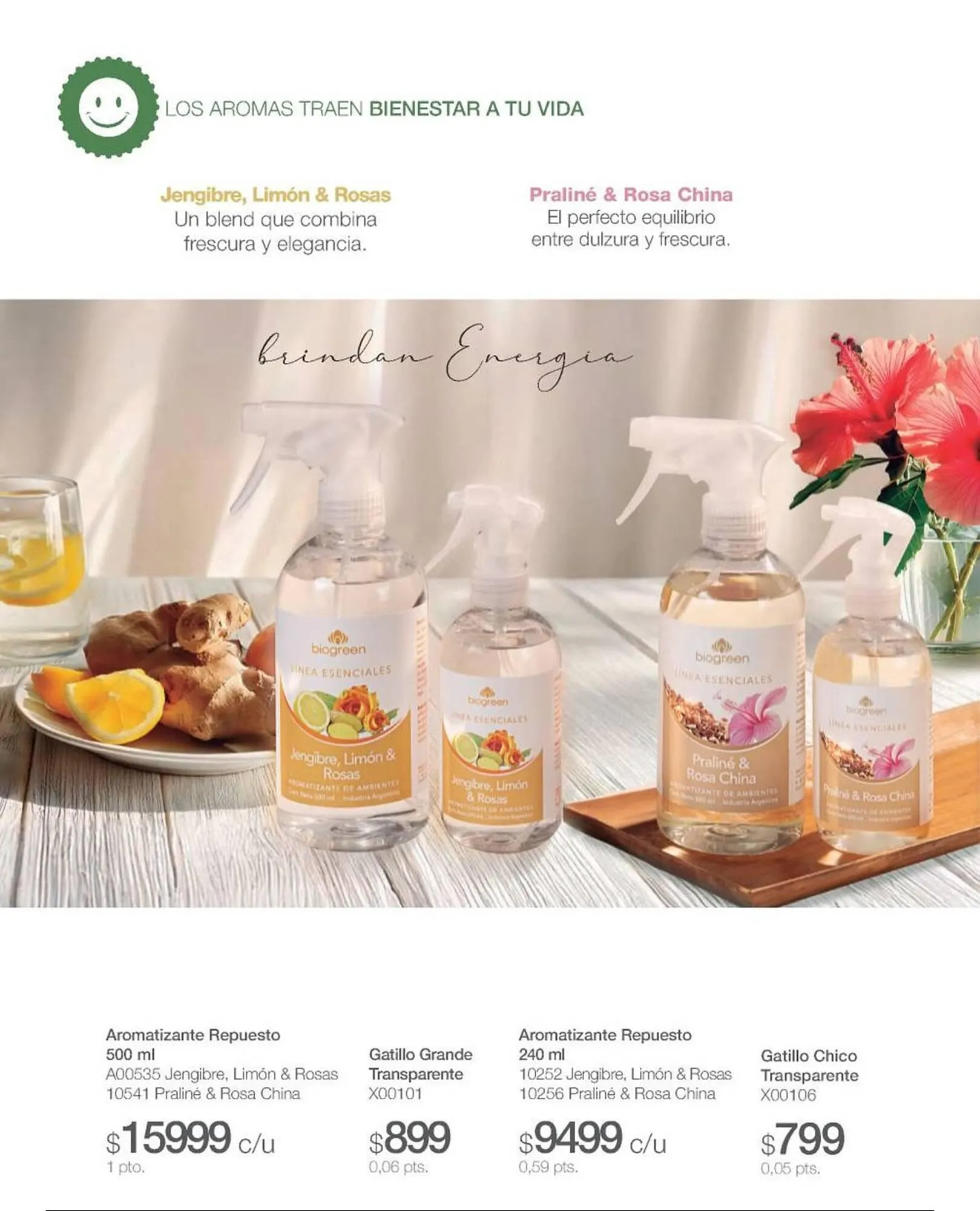 Ofertas de Catálogo Biogreen 4 de noviembre al 30 de noviembre 2025 - Página 36 del catálogo