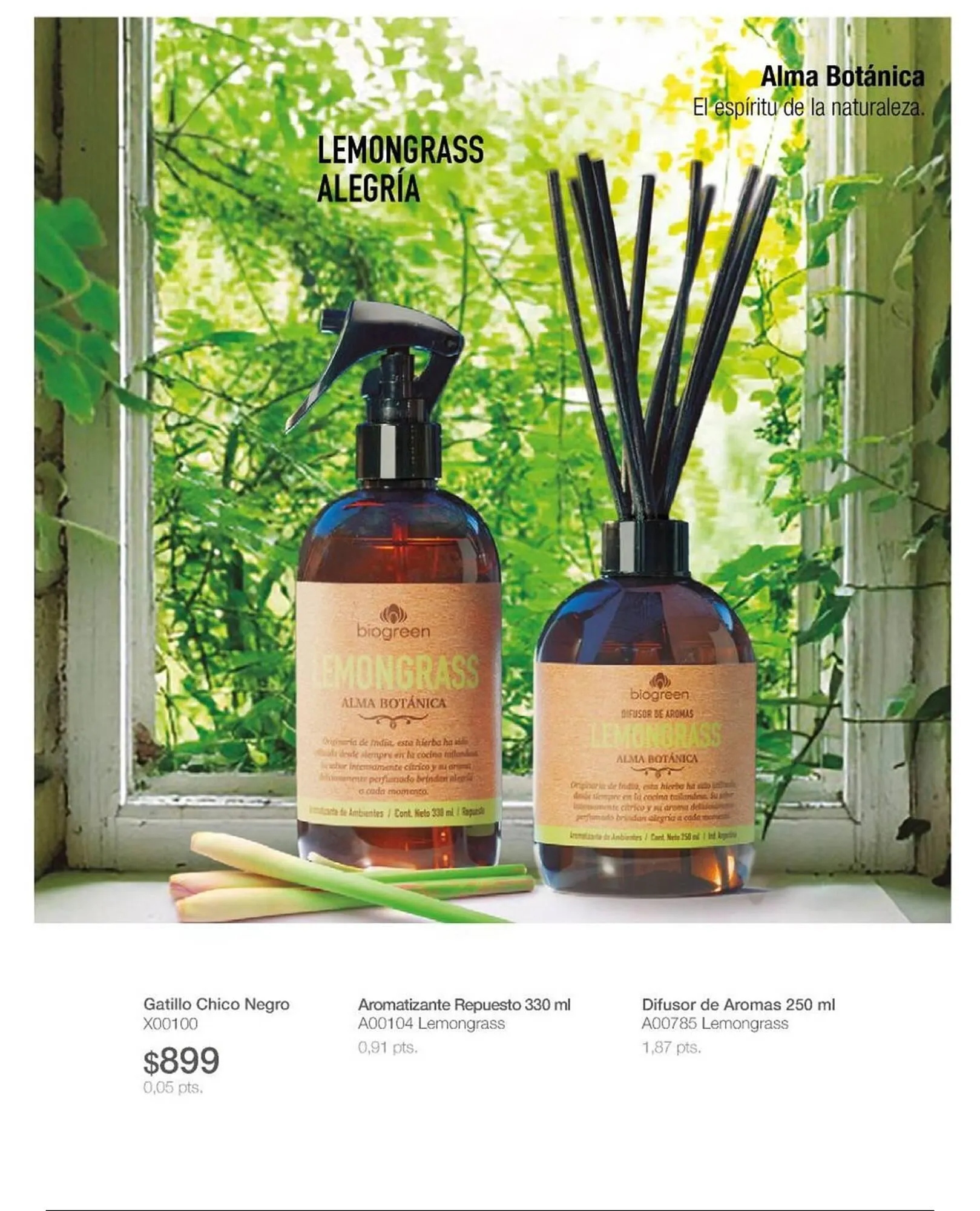 Ofertas de Catálogo Biogreen 16 de febrero al 1 de marzo 2026 - Página 41 del catálogo