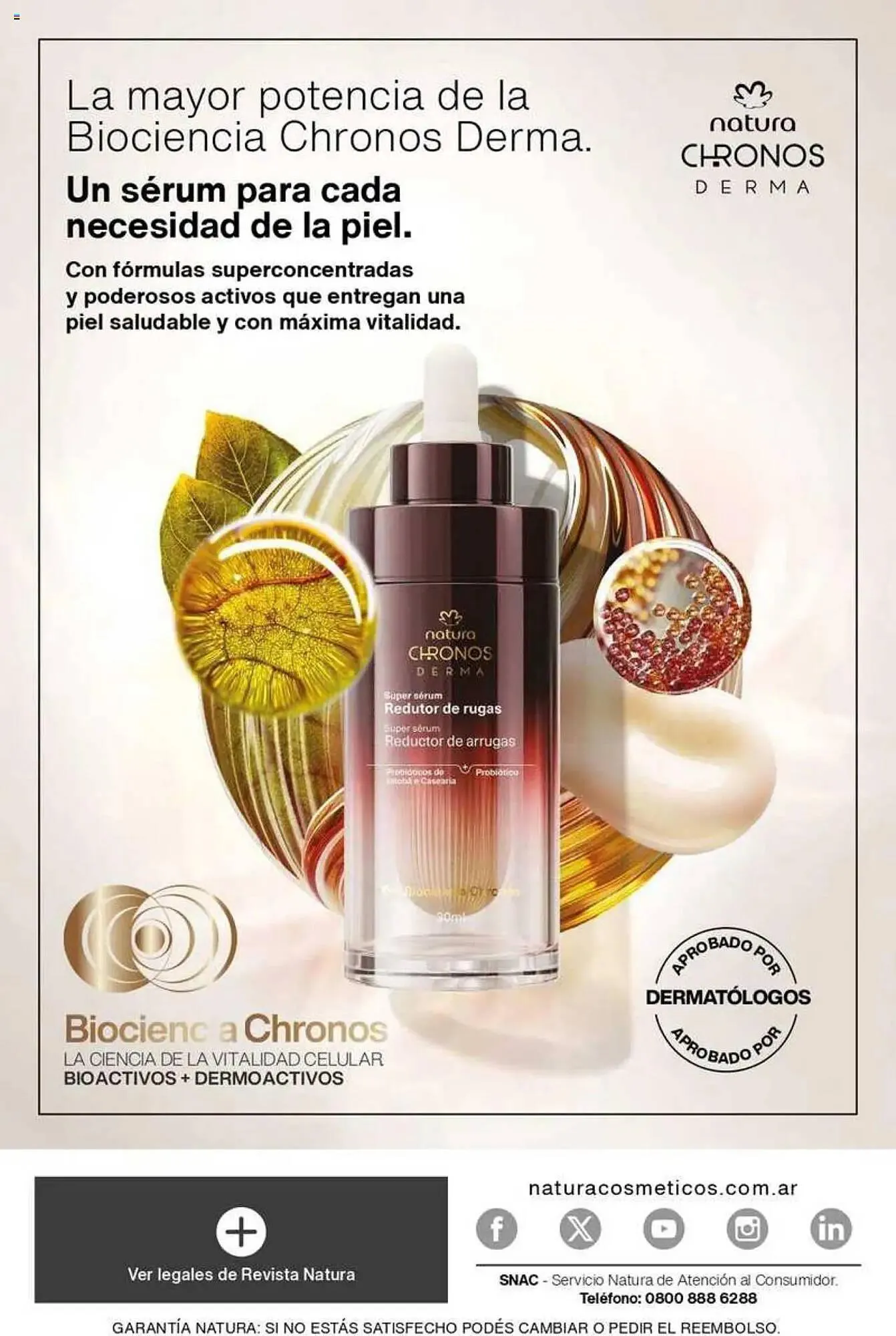 Ofertas de Catálogo Natura 5 de marzo al 18 de marzo 2025 - Página 529 del catálogo