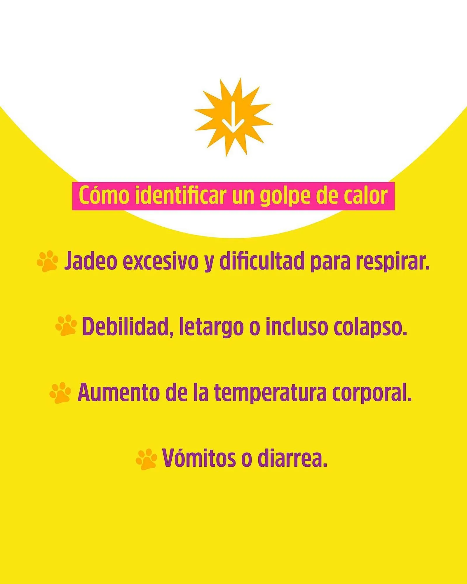 Ofertas de Catálogo Casper Pet Store 9 de enero al 15 de enero 2025 - Página 2 del catálogo