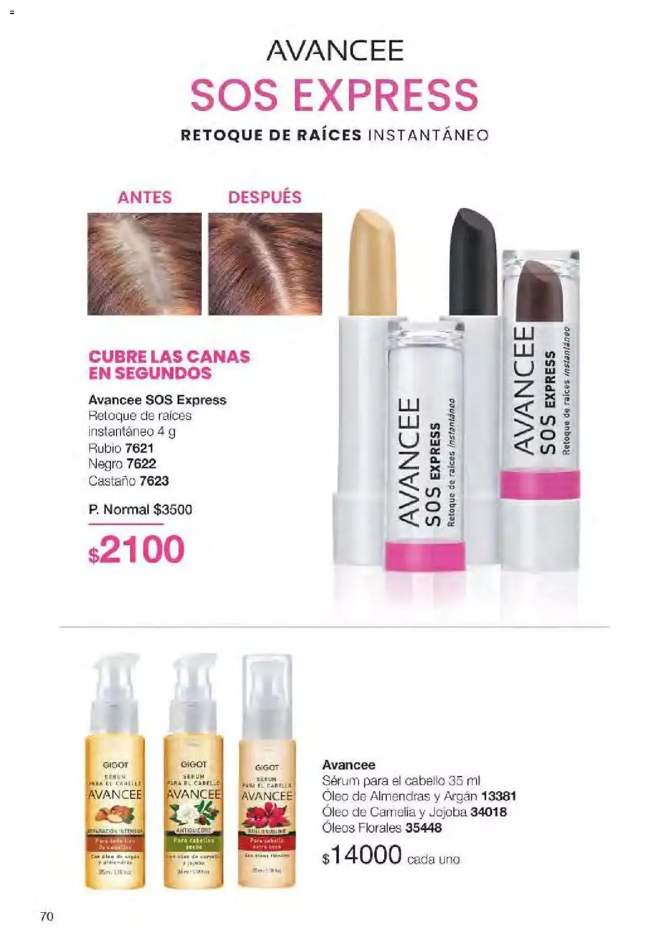 Ofertas de Gigot folleto 6 12 de marzo al 31 de diciembre 2024 - Página 70 del catálogo