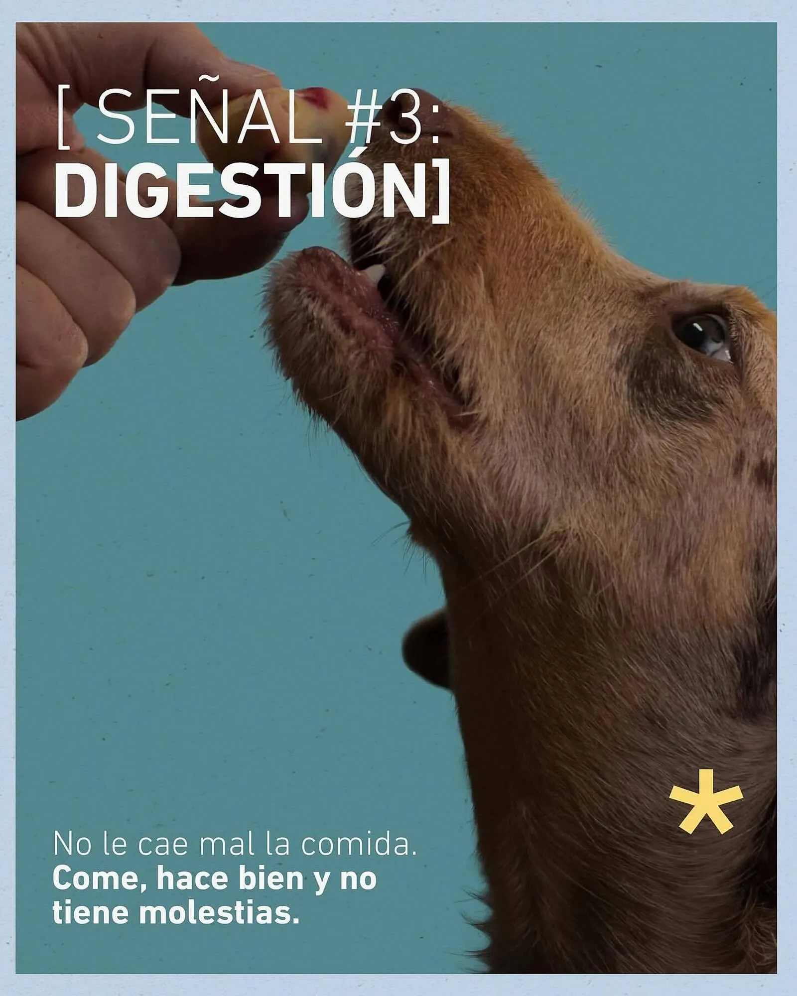 Ofertas de Catálogo Puppis 11 de junio al 15 de junio 2025 - Página 4 del catálogo