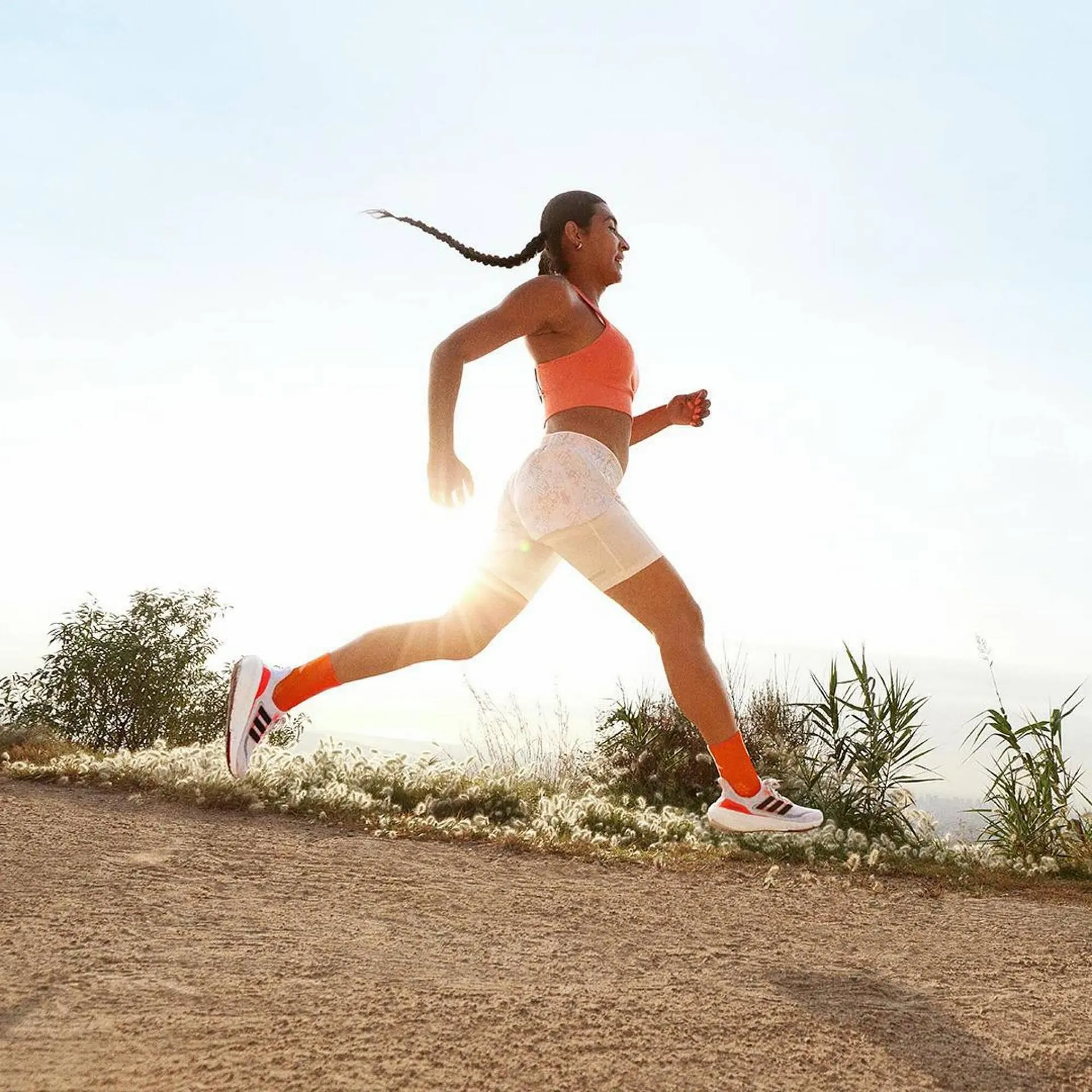 Ofertas de Catálogo Dexter 19 de mayo al 22 de agosto 2023 - Página 2 del catálogo