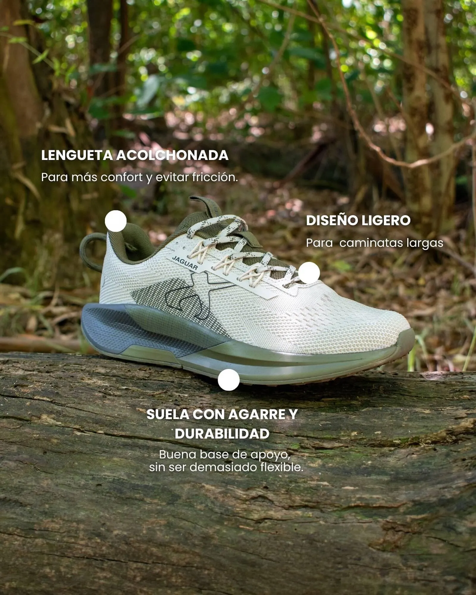 Ofertas de Catálogo Jaguar Shoes 6 de marzo al 25 de marzo 2026 - Página 1 del catálogo