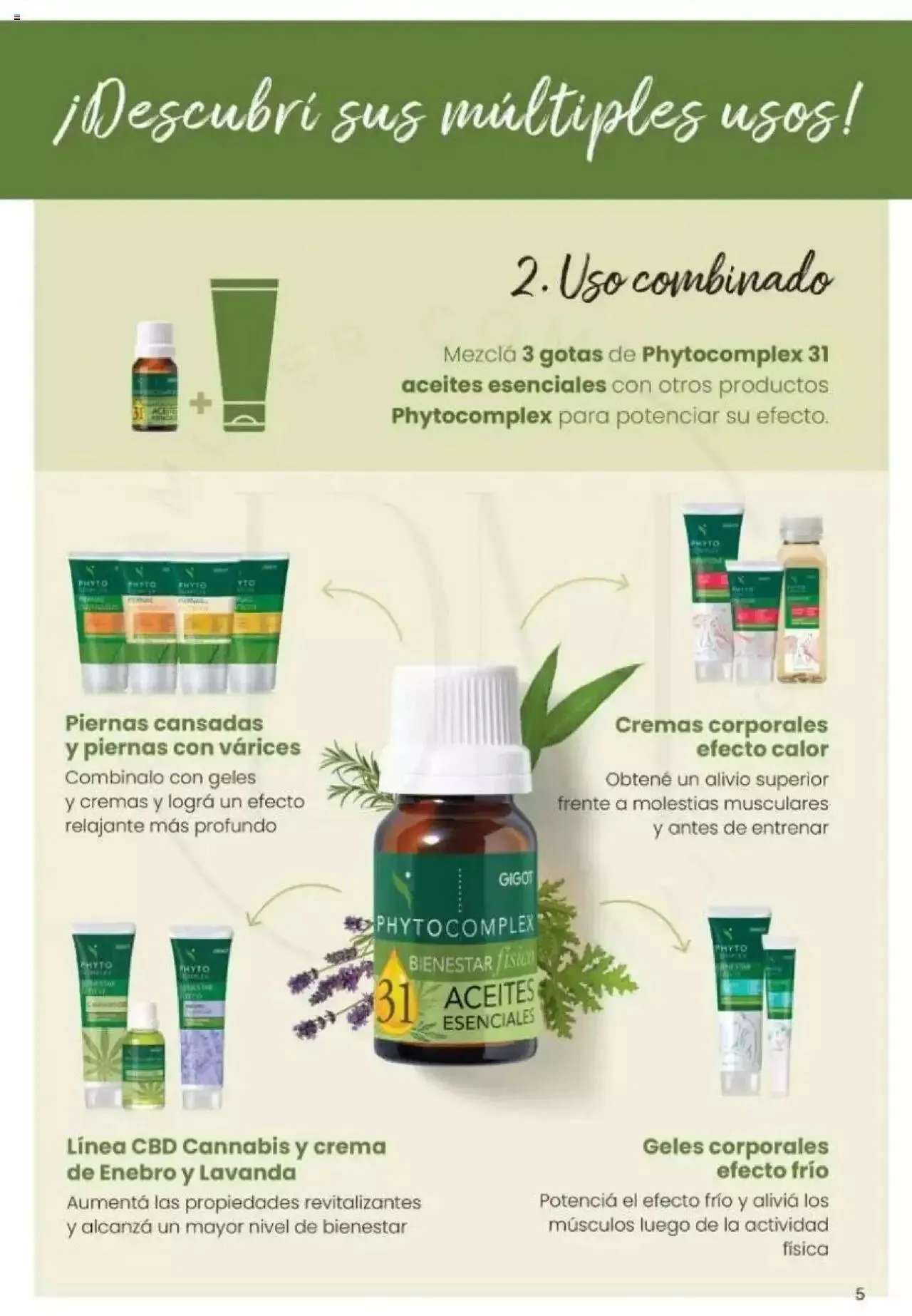 Ofertas de Gigot catálogo 2 de abril al 31 de diciembre 2024 - Página 5 del catálogo