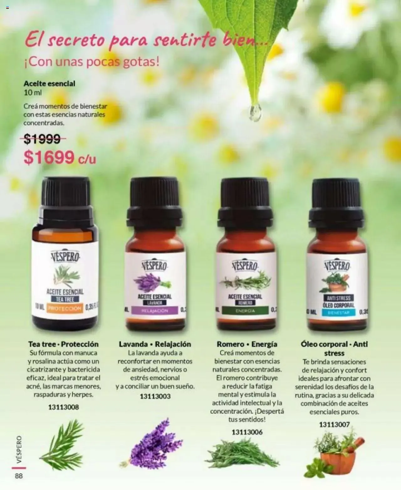 Ofertas de Bagués catálogo 17 de abril al 31 de diciembre 2023 - Página 88 del catálogo