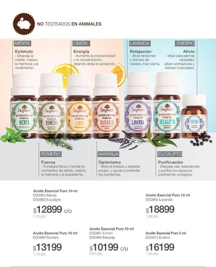 Ofertas de Catálogo de productos Biogreen! 27 de agosto al 11 de septiembre 2024 - Página 42 del catálogo