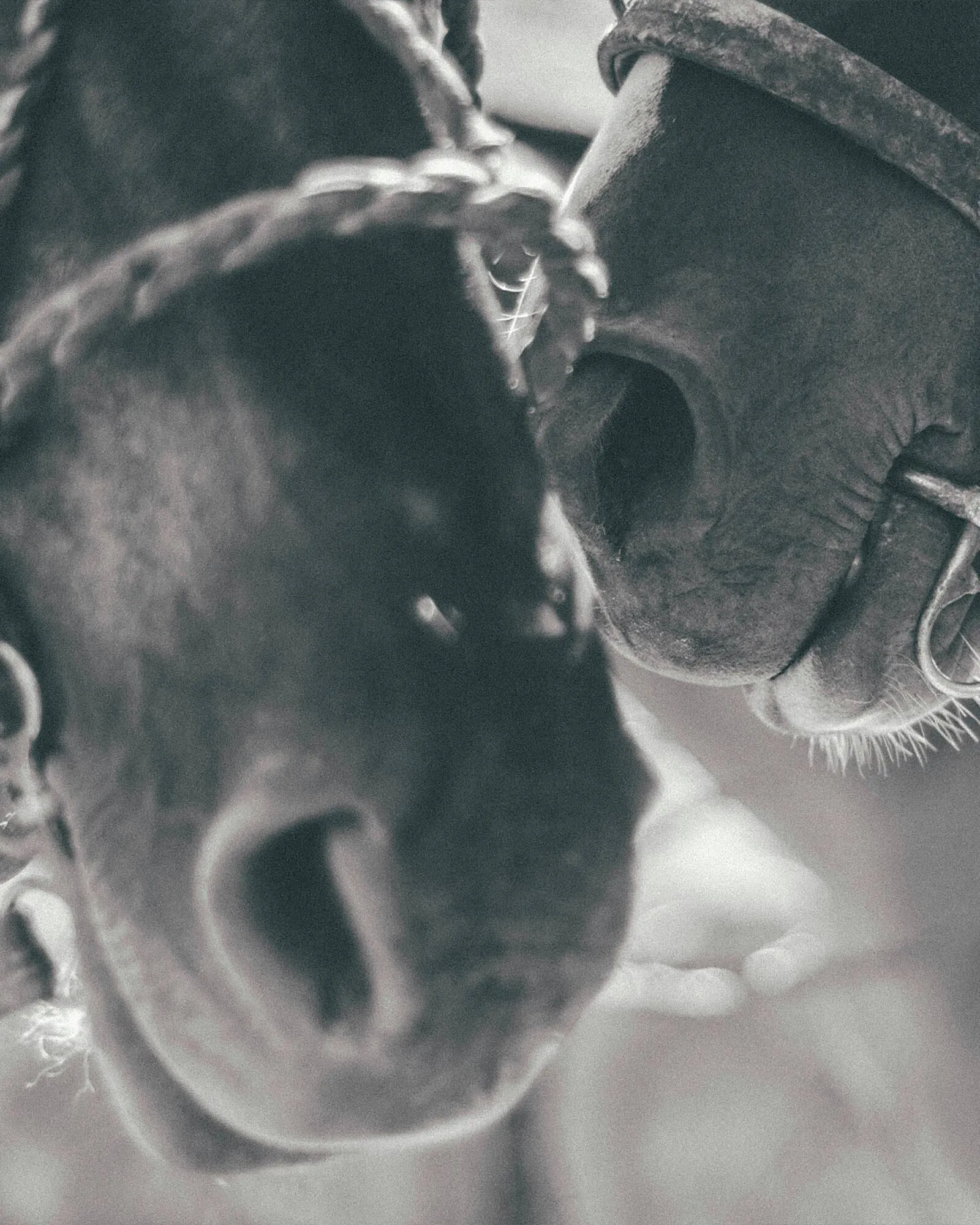 Ofertas de Catálogo La Martina 9 de mayo al 15 de mayo 2025 - Página 1 del catálogo